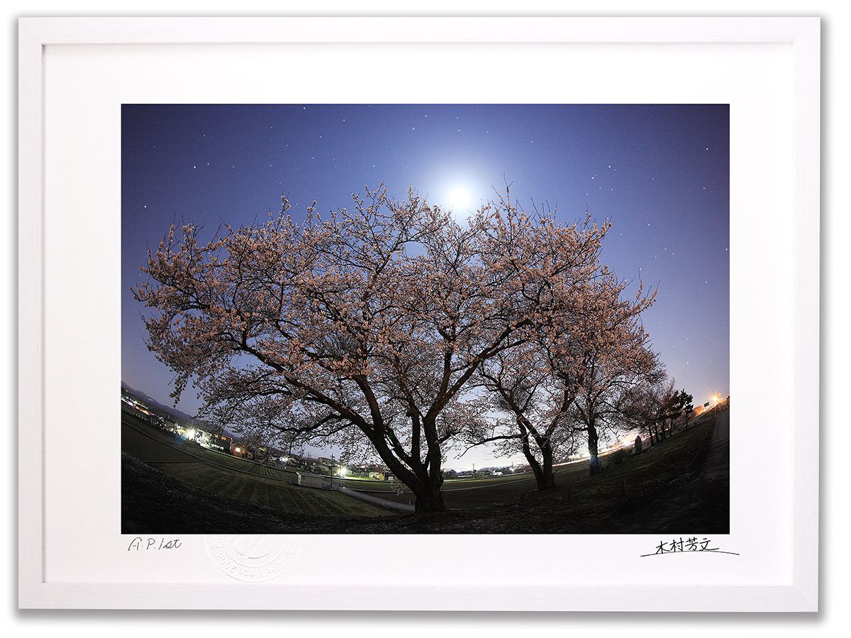 アートフォト 絵画 壁掛け 夜桜4/能美市/インテリア 壁掛け 額入り 額装込 風景画 油絵 ポスター アート アートパネル リビング 玄関 プレゼント モダン アートフレーム おしゃれ 飾る｜絵画・壁飾り　風景専門店あゆわら 16,060円