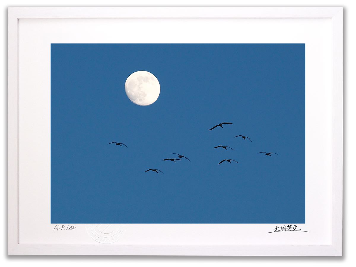 アートフォト 絵画 壁掛け 月に向かって飛ぶ白鳥/加賀市/インテリア 壁掛け 額入り 額装込 風景画 油絵 ポスター アート アートパネル リビング 玄関 プレゼント モダン アートフレーム おしゃれ 飾る｜絵画・壁飾り　風景専門店あゆわら