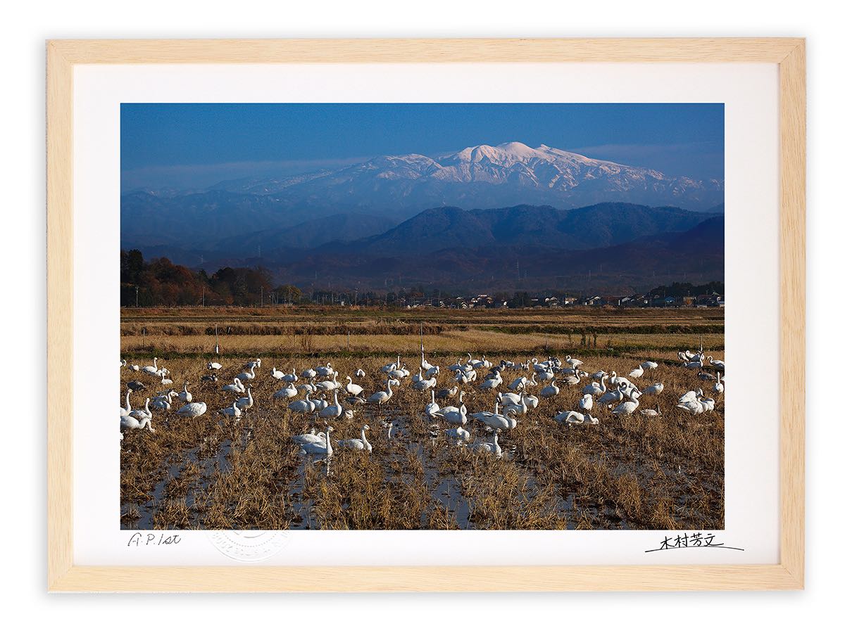 アートフォト 絵画 壁掛け 白山と白鳥3/加賀市/インテリア 壁掛け 額入り 額装込 風景画 油絵 ポスター アート アートパネル リビング 玄関 プレゼント モダン アートフレーム おしゃれ 飾る|絵画・壁飾り 風景専門店あゆわら
