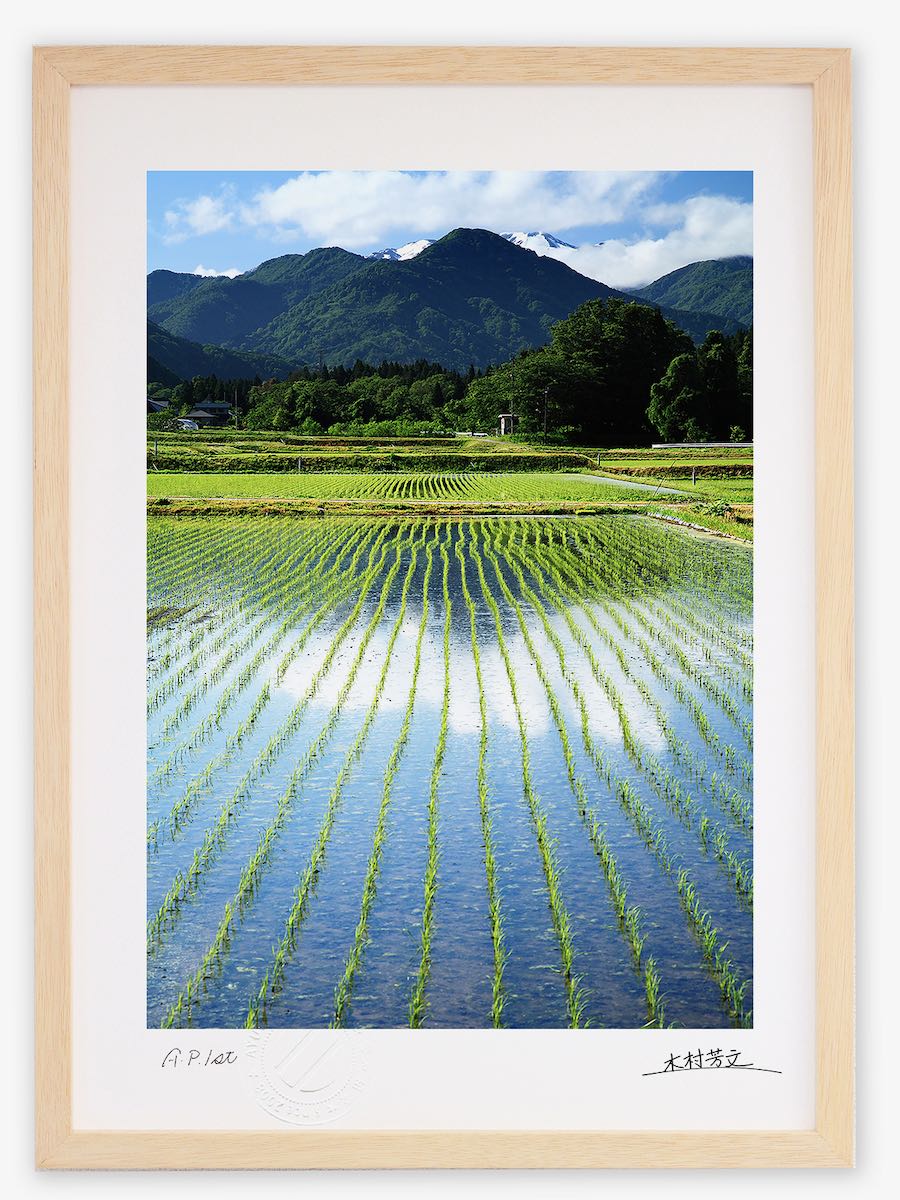 アートフォト 絵画 壁掛け 田植えが終わった田圃から白山を垣間見る/白山市/インテリア 壁掛け 額入り 額装込 風景画 油絵 ポスター アート アートパネル リビング 玄関 プレゼント モダン アートフレーム おしゃれ 飾る｜絵画・壁飾り　風景専門店あゆわら