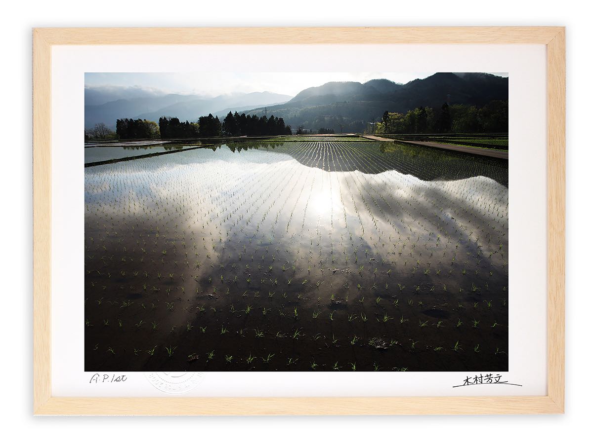 アートフォト 絵画 壁掛け 田植え後/白山市/インテリア 壁掛け 額入り 額装込 風景画 油絵 ポスター アート アートパネル リビング 玄関 プレゼント モダン アートフレーム おしゃれ 飾る