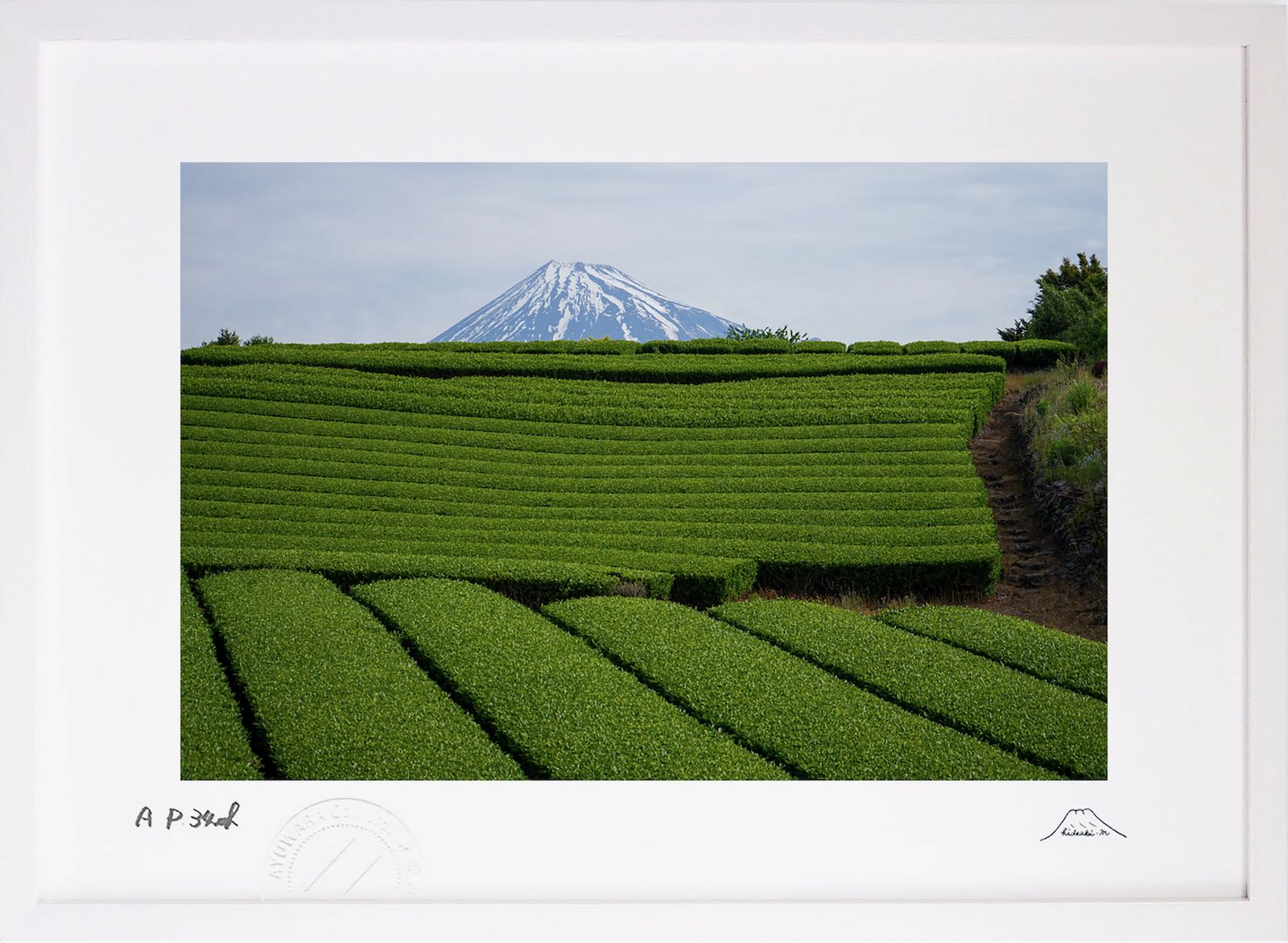 最大100%ポイントバック！限定抽選 版画 絵画 茶畑富士 富士山 インテリア 額入り 額装込 風景画 油絵 ポスター アート アートパネル リビング 玄関 プレゼント モダン アートフレーム 飾る おしゃれ 壁掛け 絵