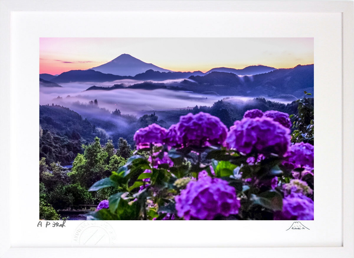 肉筆画【紫陽花 】油彩画 肉筆画【紫陽花 】油彩画