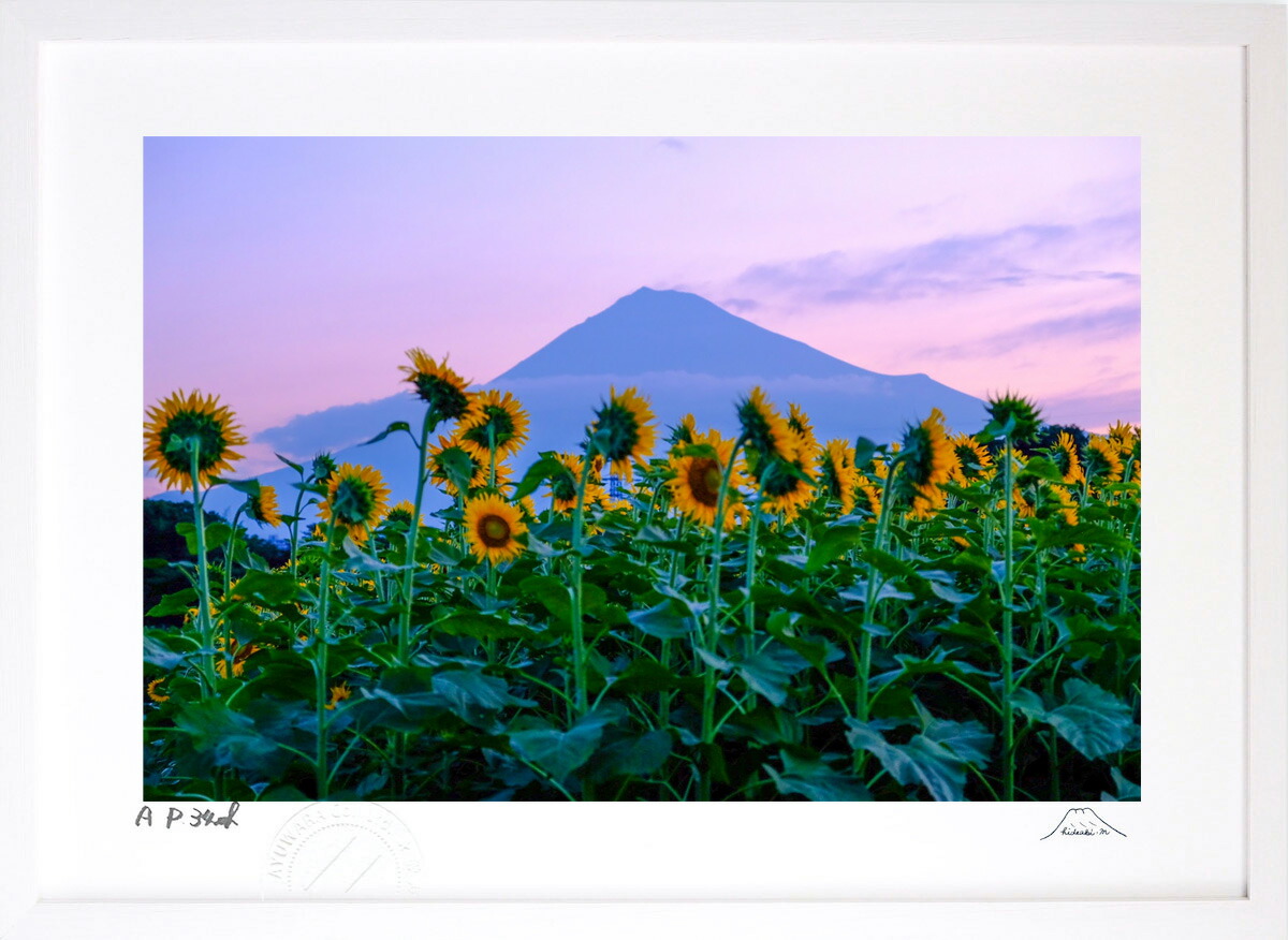 最大100%ポイントバック！限定抽選 版画 絵画 ひまわり富士 インテリア 額入り 富士山 額装込 風景画 油絵 ポスター アート アートパネル リビング 玄関 プレゼント モダン アートフレーム 飾る おしゃれ 壁掛け 絵