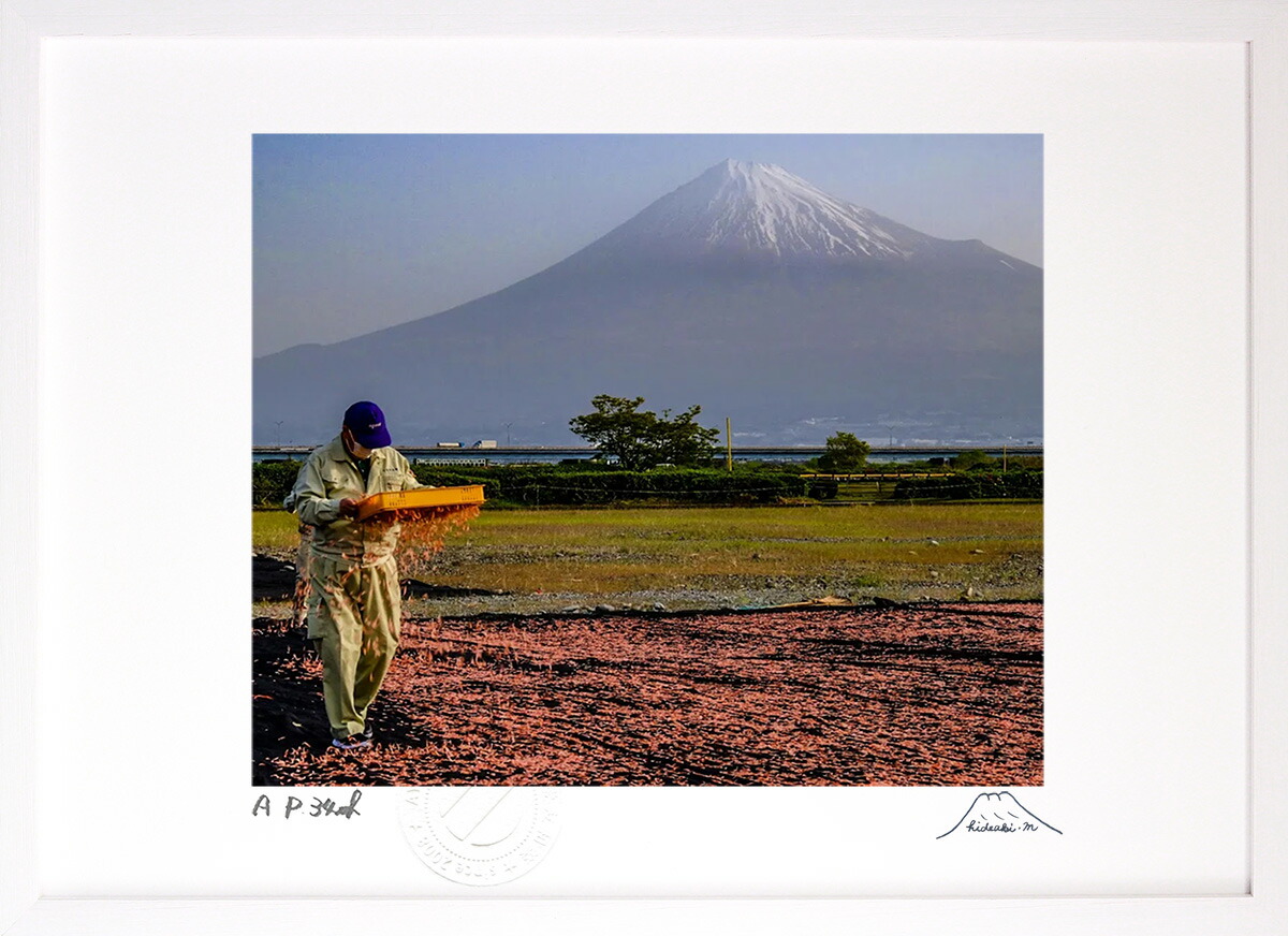 最大100%ポイントバック！限定抽選 版画 絵画 桜エビ富士 インテリア 額入り 富士山 額装込 風景画 油絵 ポスター アート アートパネル リビング 玄関 プレゼント モダン アートフレーム 飾る おしゃれ 壁掛け 絵