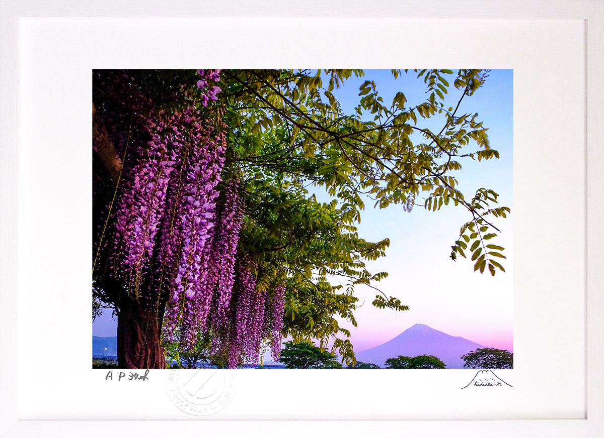最大100%ポイントバック！限定抽選 版画 絵画 富士と藤 インテリア 額入り 富士山 額装込 風景画 油絵 ポスター アート アートパネル リビング 玄関 プレゼント モダン アートフレーム 飾る おしゃれ 壁掛け 絵