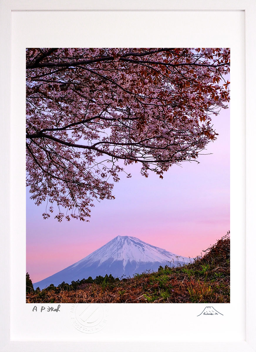 最大100%ポイントバック！限定抽選 版画 絵画 一本桜と春 インテリア 額入り 富士山 額装込 風景画 油絵 ポスター アート アートパネル リビング 玄関 プレゼント モダン アートフレーム 飾る おしゃれ 壁掛け 絵