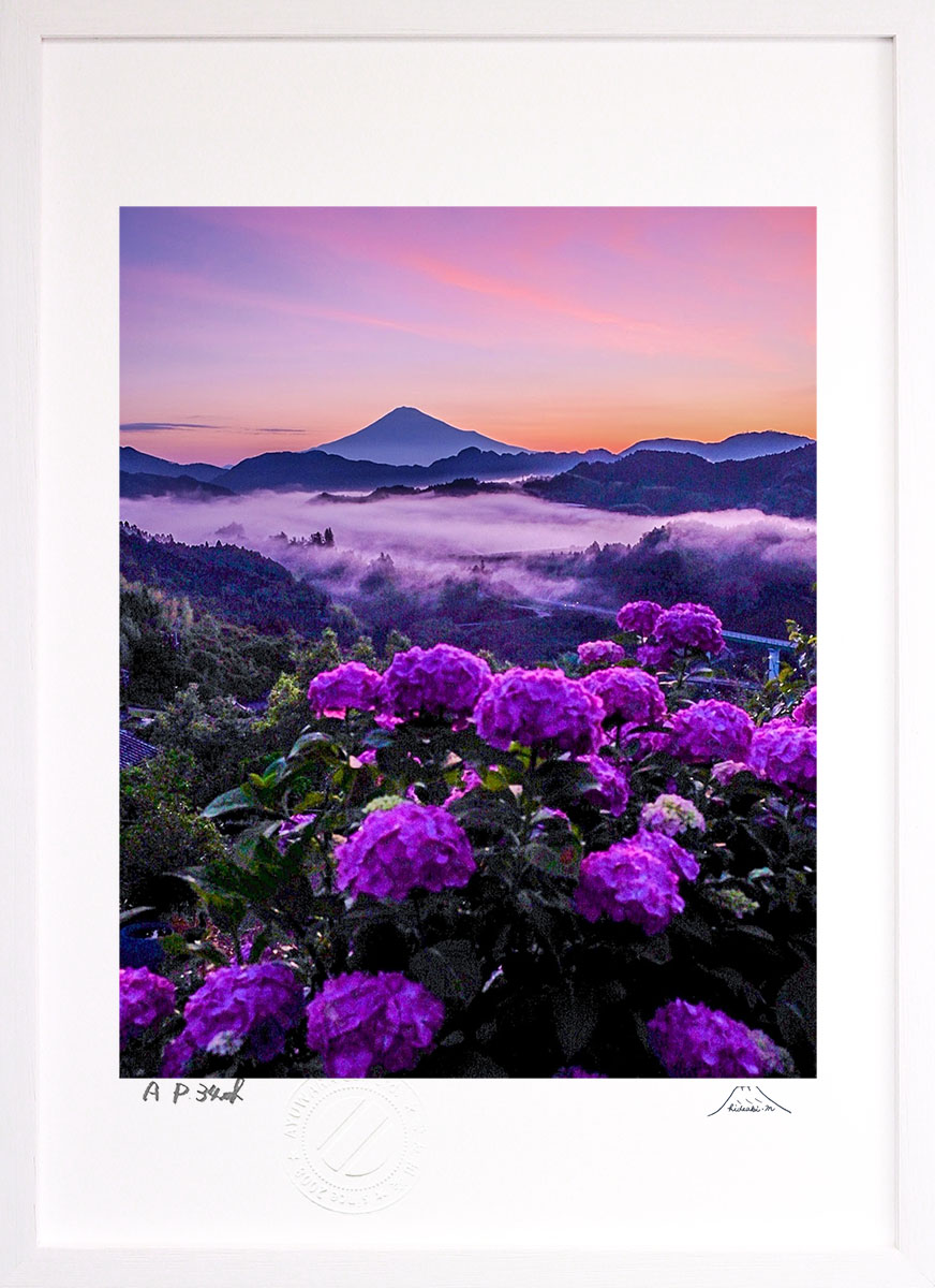 油彩画 花瓶の花 金色フレーム紫陽花　アジサイ　自筆サインあり 油彩画 花瓶の花 金色フレーム紫陽花 アジサイ 自筆サインあり