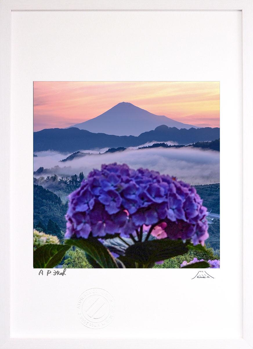 最大100%ポイントバック！限定抽選 版画 絵画 朝焼けアジサイ インテリア 額入り 富士山 額装込 風景画 油絵 ポスター アート アートパネル リビング 玄関 プレゼント モダン アートフレーム 飾る おしゃれ 壁掛け 絵