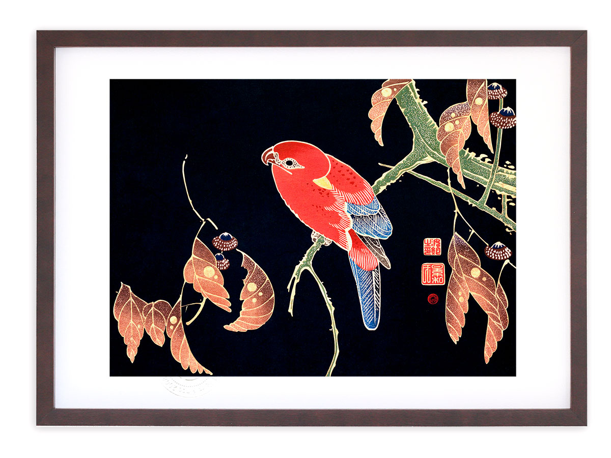 楽天市場】伊藤若冲 動植綵絵 老松鸚鵡図 高級仕様 額 美術品