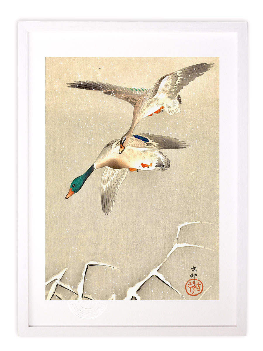 楽天市場】版画 絵画 名画 日本画 蔦に四十雀 (つたにしじゅうから