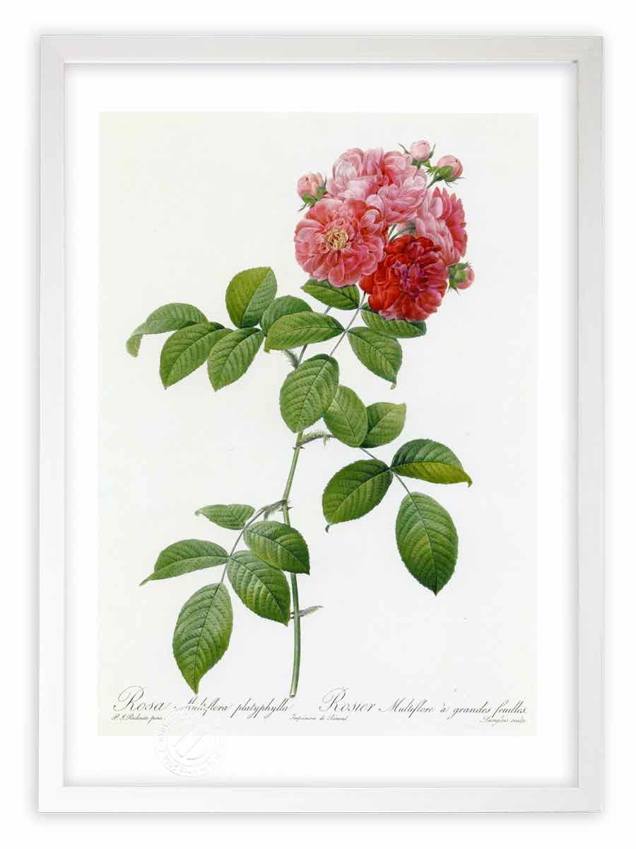 テオドール・パラディ、花とレモンのある静物、希少・額装画集画、新品額付 テオドール・パラディ、花とレモンのある静物、希少・額装画集画
