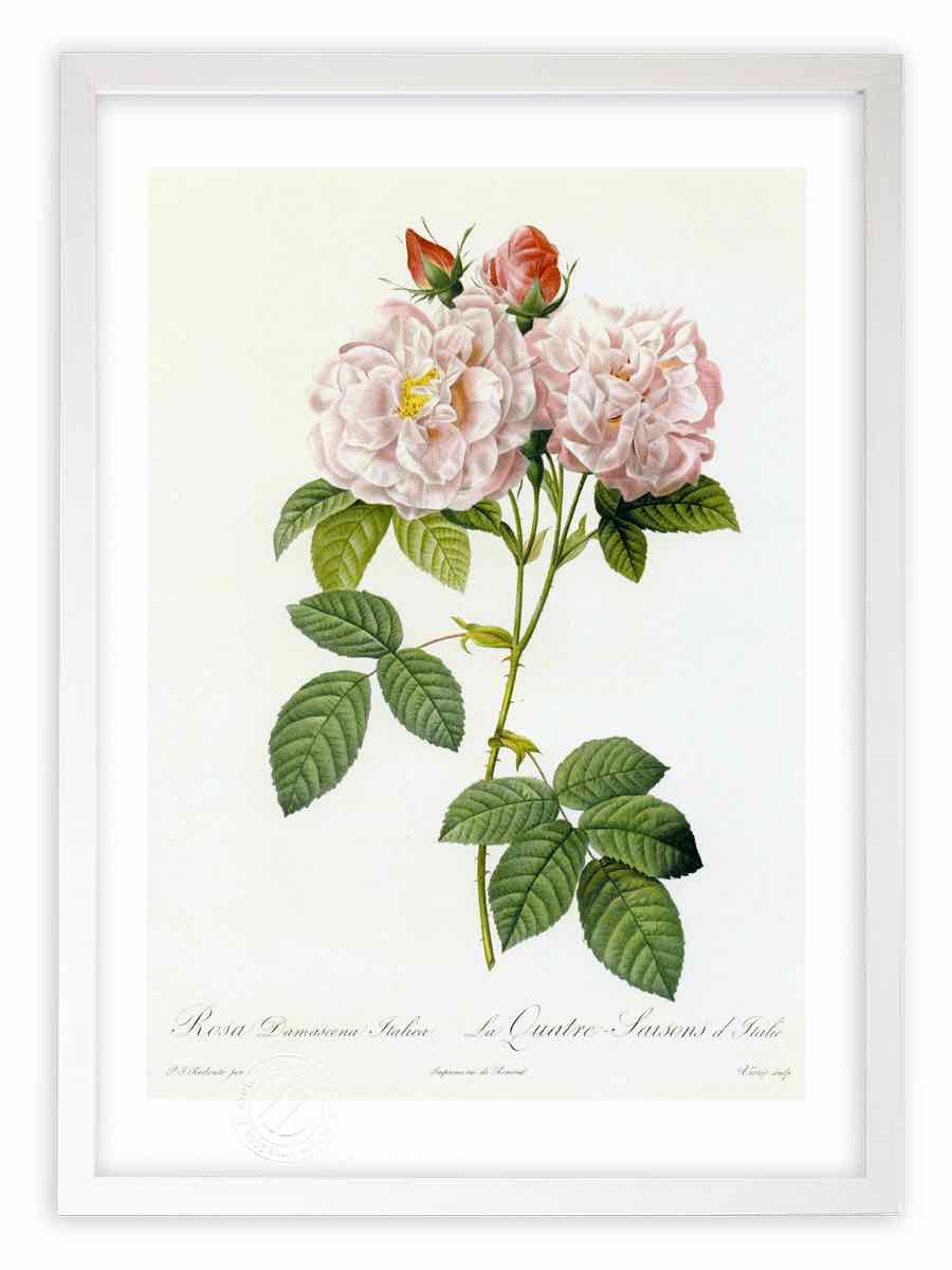 大理石製のバラの絵画 Yahoo!オークション - 新入荷 美品 櫻井陽司 「バラ」 6号 孤高