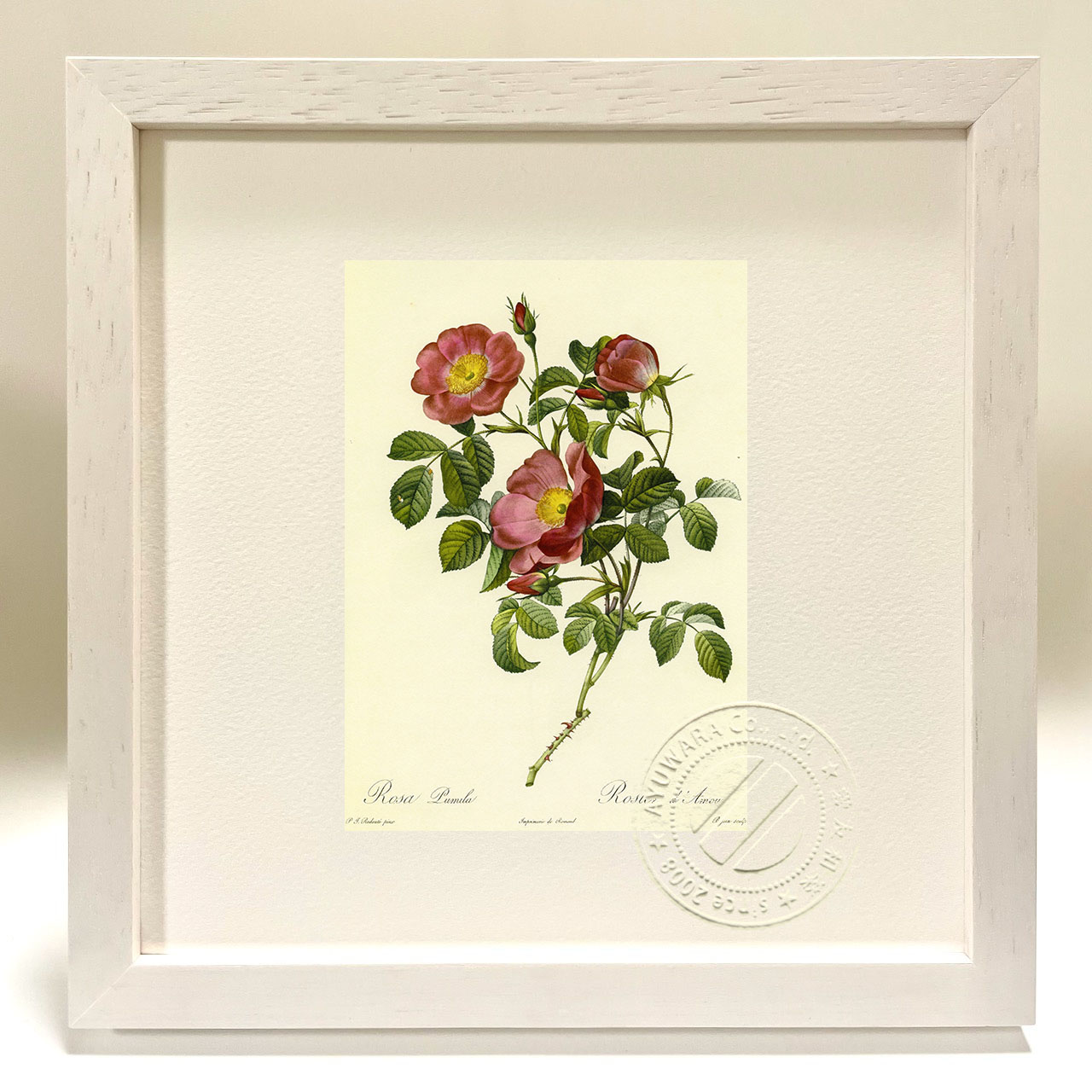 楽天市場】フジ子・ヘミング 赤いばら 花 絵画 薔薇 インテリア