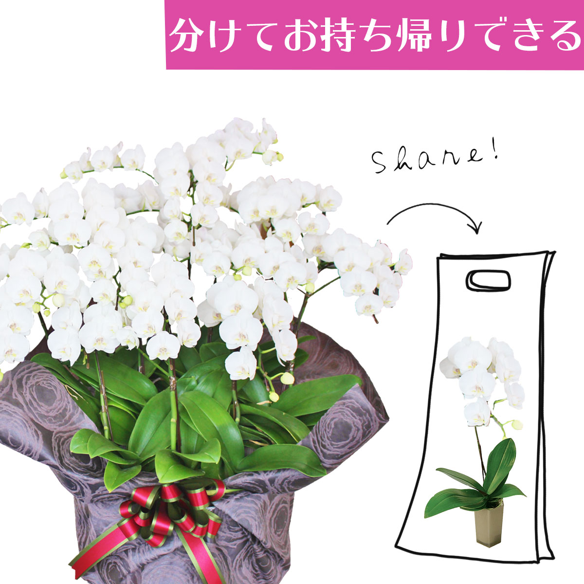 百貨店大売り出し
