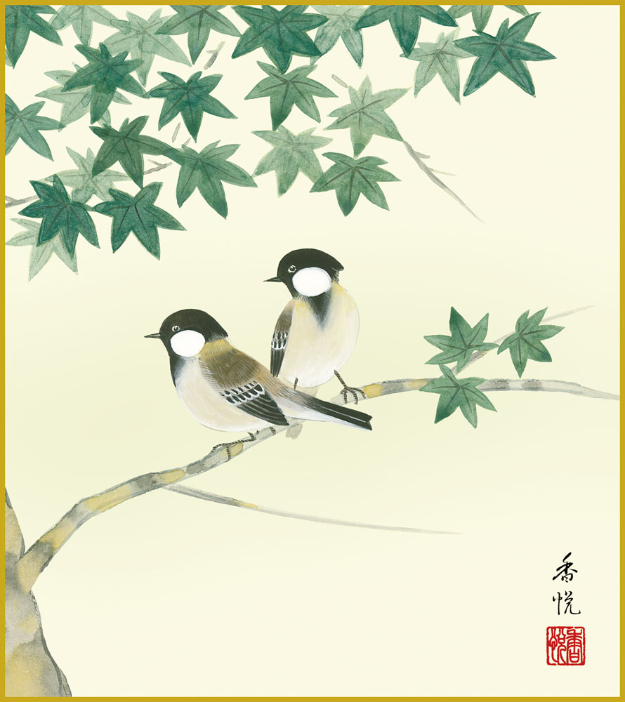 楽天市場】色紙 色紙掛けなし 色紙絵 和風 牡丹孔雀図 円山応挙