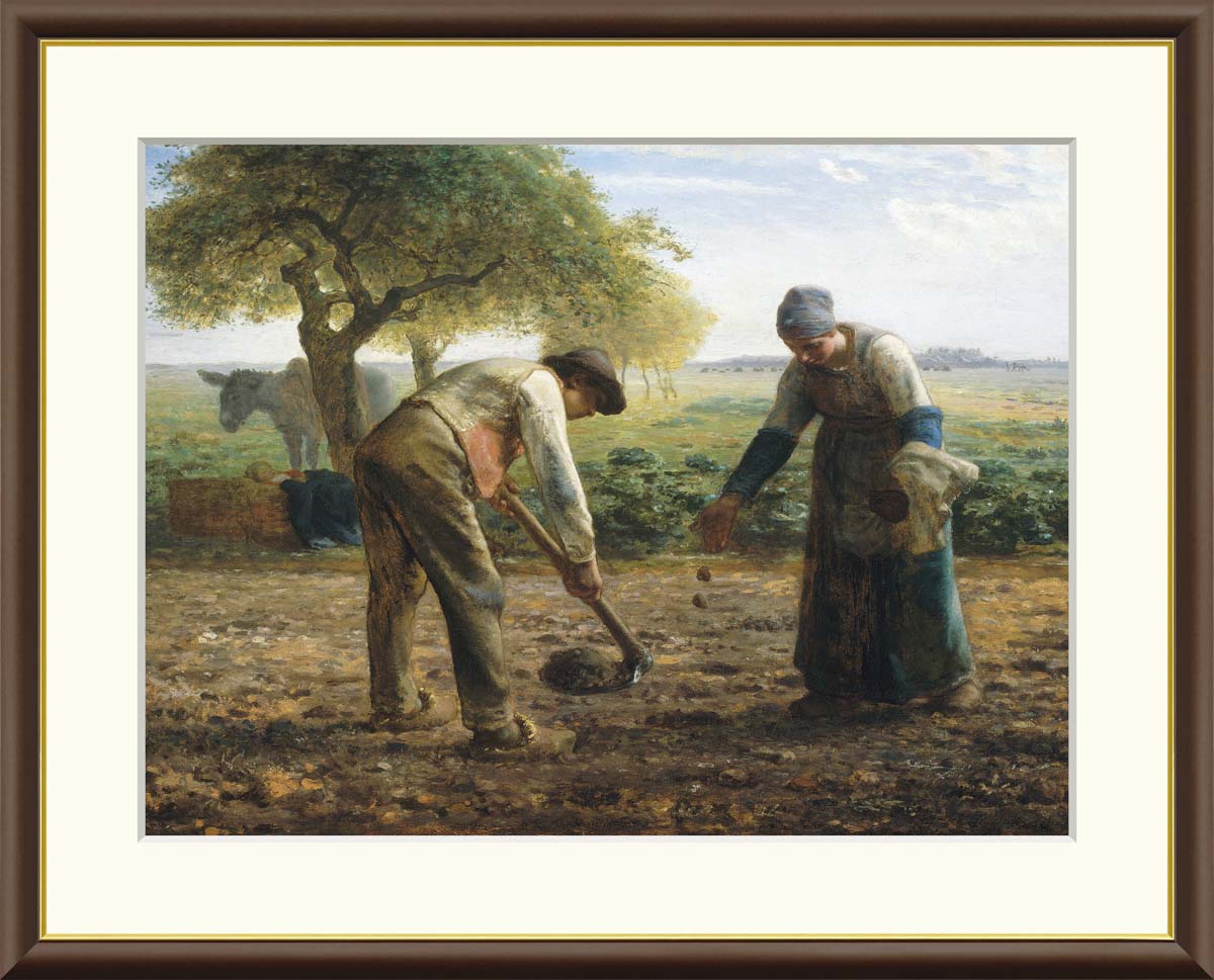 油絵 絵画 【ポインセチア畑】 油絵 絵画 【ポインセチア畑】