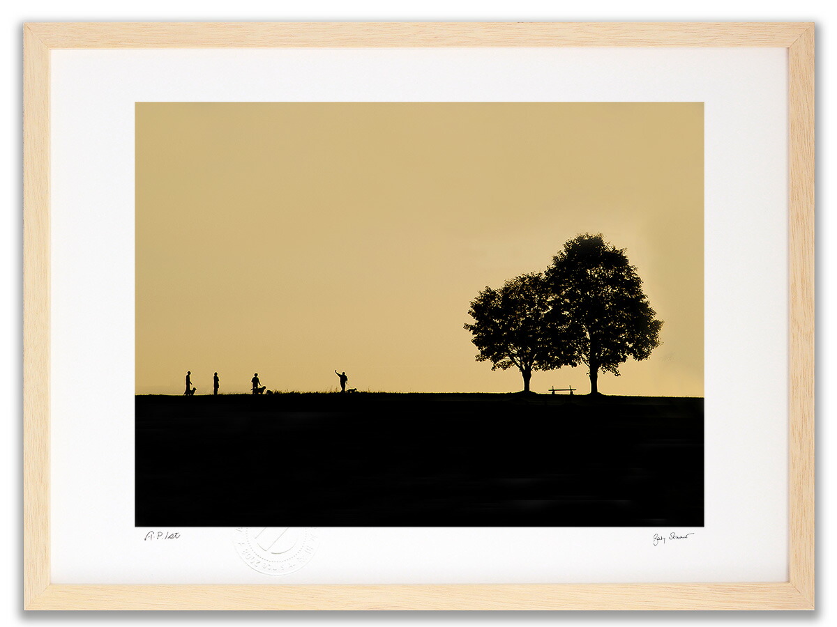 楽天市場】アノラ・スペンス 綱渡り 犬 絵画 ブルテリア 鳥 インテリア