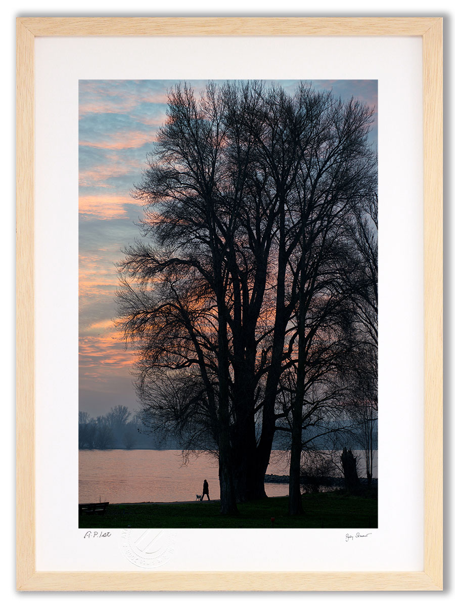 アートフォト 絵画 壁掛け 夕暮れの散歩(Evening Stroll)/インテリア 壁掛け 額入り 額装込 風景画 油絵 ポスター アート アートパネル リビング 玄関 プレゼント モダン アートフレーム おしゃれ 飾る|絵画・壁飾り 風景専門店あゆわら