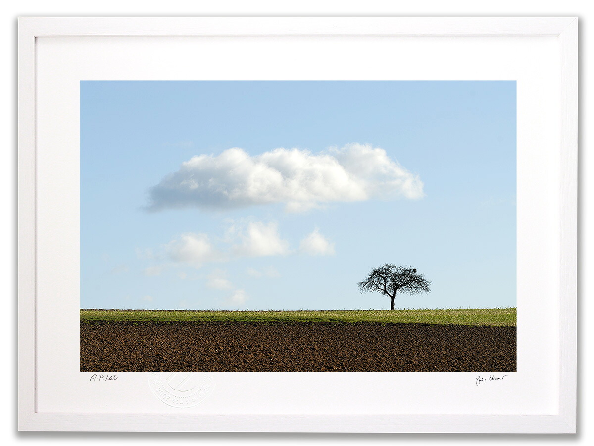 アートフォト 絵画 壁掛け 哲学者の木(Philosophers Tree 2009）/インテリア 壁掛け 額入り 額装込 風景画 油絵 ポスター アート アートパネル リビング 玄関 プレゼント モダン アートフレーム おしゃれ 飾る｜絵画・壁飾り　風景専門店あゆわら 15,400円
