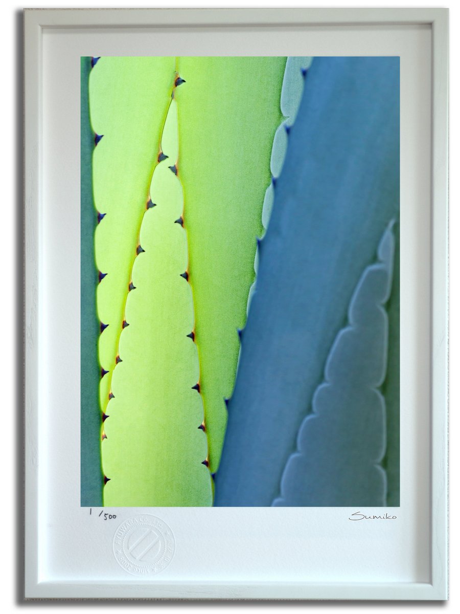 最大100%ポイントバック！限定抽選 版画 絵画 カクタスアート２(スミコ スコット)/インテリア 額入り 額装込 風景画 油絵 ポスター アート アートパネル リビング 玄関 プレゼント モダン アートフレーム 飾る おしゃれ 壁掛け 絵