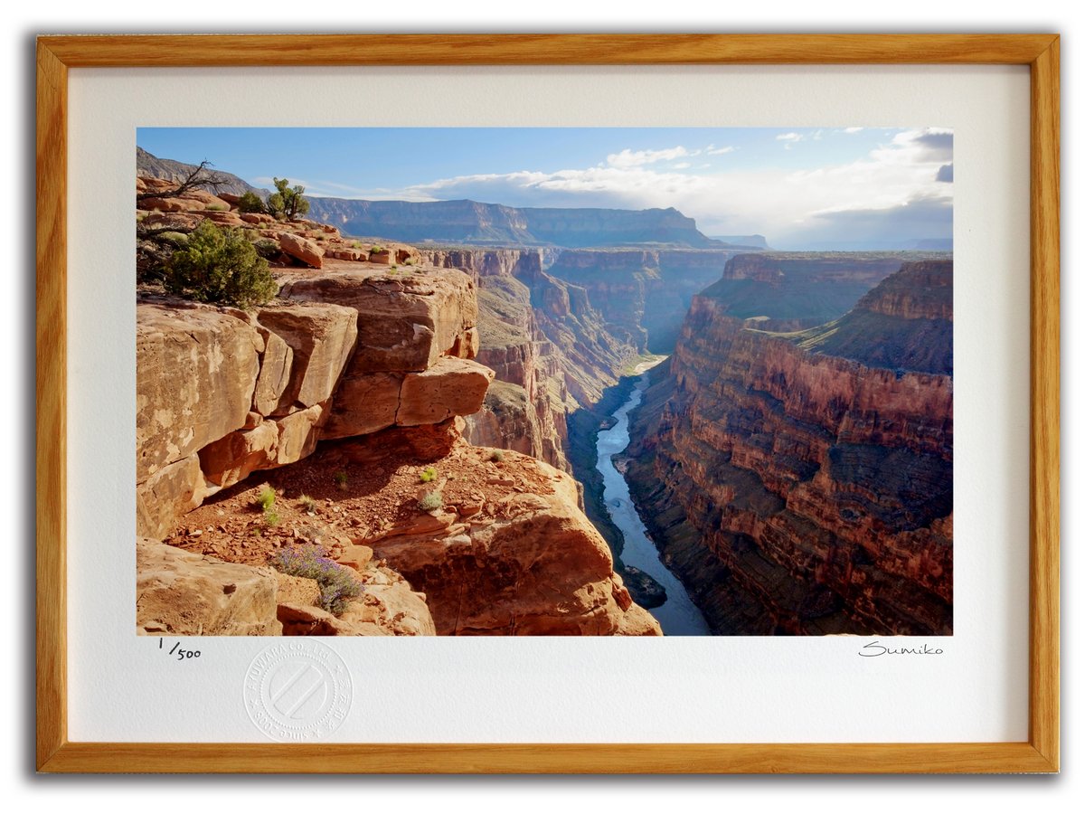 New Arrival 版画 絵画 トロウィープポイント グランドキャニオン国立公園１ スミコ スコット インテリア 壁掛け 額入り 額装込 風景画 油絵 ポスター アート アートパネル リビング 玄関 プレゼント モダン アートフレーム おしゃれ 飾る Mサイズ 巣ごもり Fucoa Cl