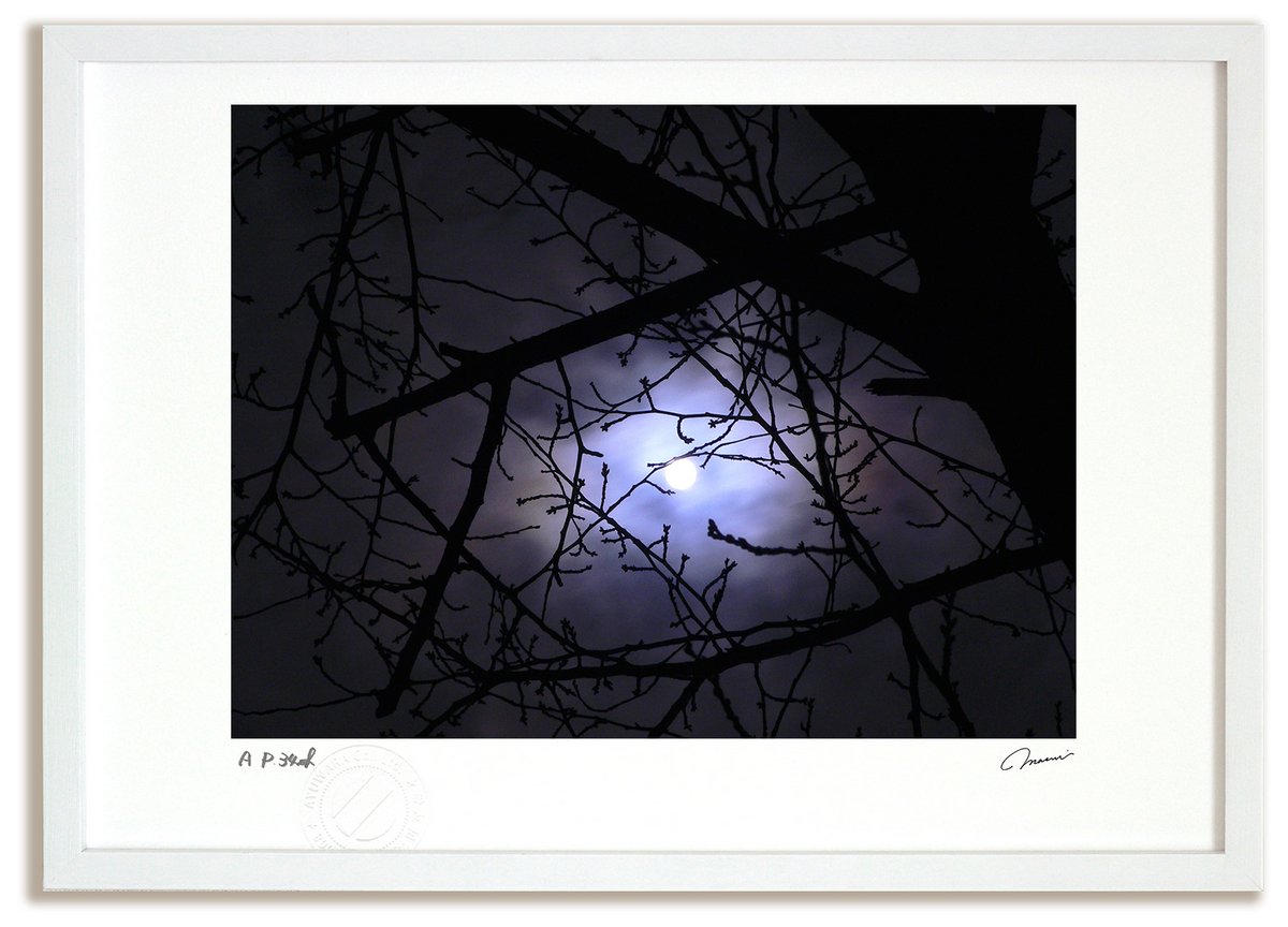アートフォト 絵画 冬のおぼろ月夜と桜の枝/インテリア 額入り 額装込 風景画 油絵 ポスター アート アートパネル リビング 玄関 プレゼント モダン アートフレーム 飾る おしゃれ 壁掛け 絵