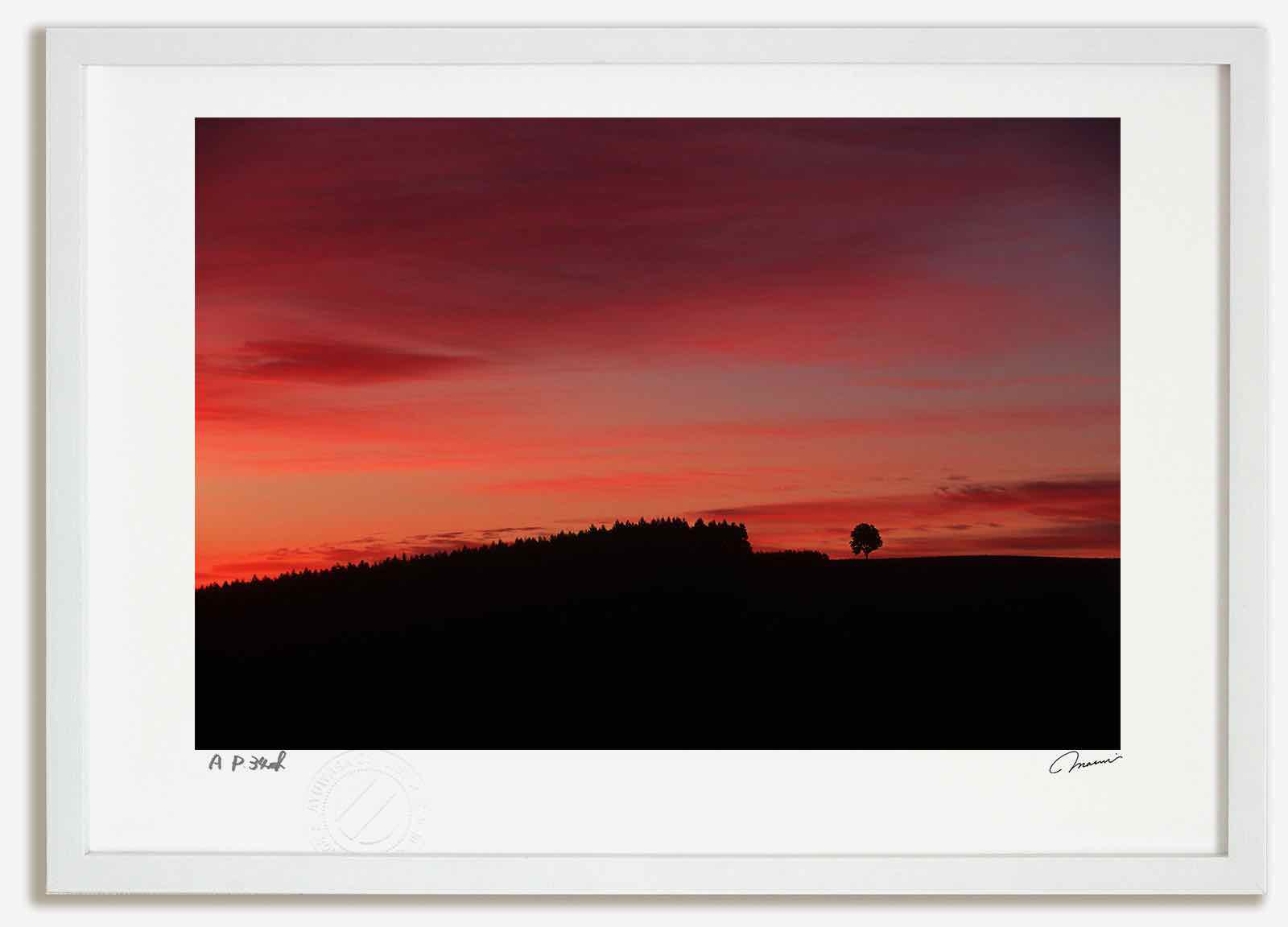 楽天市場】アートフォト 絵画 朝焼け4 高橋真澄/インテリア 額入り