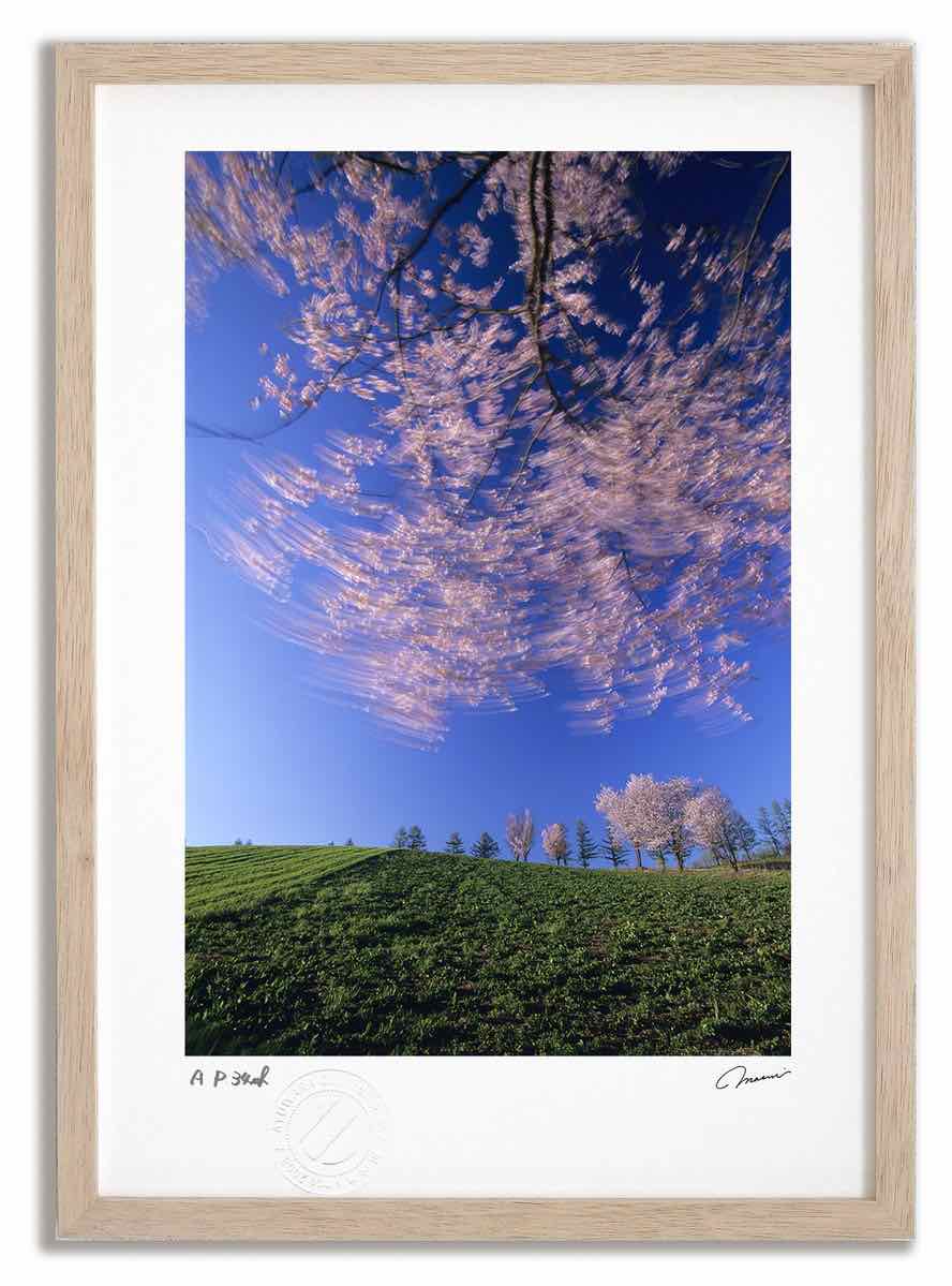 アートフォト 絵画 丘の桜 高橋真澄/インテリア 額入り 額装込 風景画 油絵 ポスター アート アートパネル リビング 玄関 プレゼント モダン アートフレーム 飾る おしゃれ 壁掛け 絵｜絵画・壁飾り　風景専門店あゆわら