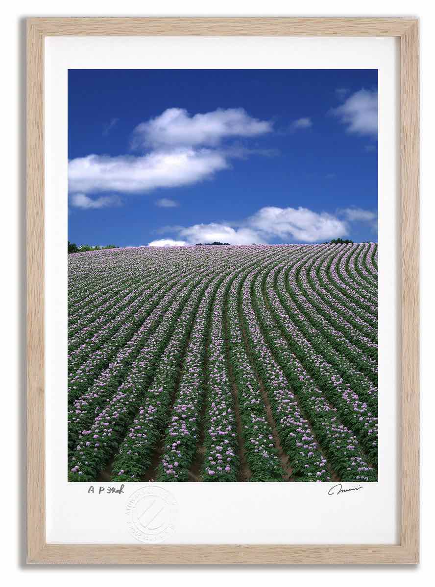 アートフォト 絵画 ジャガイモ畑1 高橋真澄/インテリア 額入り 額装込 風景画 油絵 ポスター アート アートパネル リビング 玄関 プレゼント モダン アートフレーム 飾る おしゃれ 壁掛け 絵｜絵画・壁飾り　風景専門店あゆわら