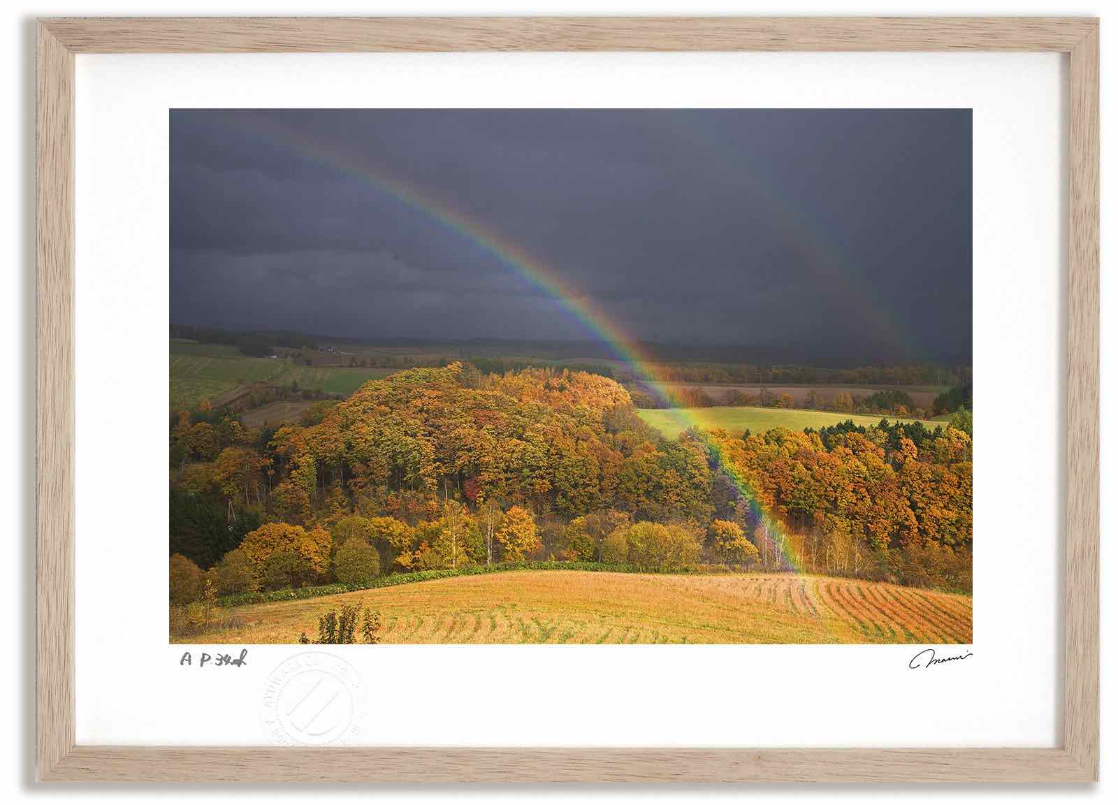 アートフォト 絵画 壁掛け 十勝岳のモンスター1 富良野 美瑛 高橋真澄 インテリア 壁掛け 額入り モダン アートフレーム おしゃれ 石川雄一「ラベンダーと十勝岳（富良野）」油絵・P15号 絵画買取・販売