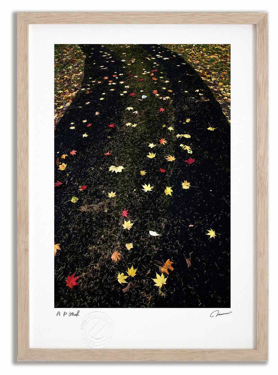 アートフォト 絵画 紅葉5/中富良野町 高橋真澄/インテリア 額入り 額装込 風景画 油絵 ポスター アート アートパネル リビング 玄関 プレゼント モダン アートフレーム 飾る おしゃれ 壁掛け 絵｜絵画・壁飾り　風景専門店あゆわら