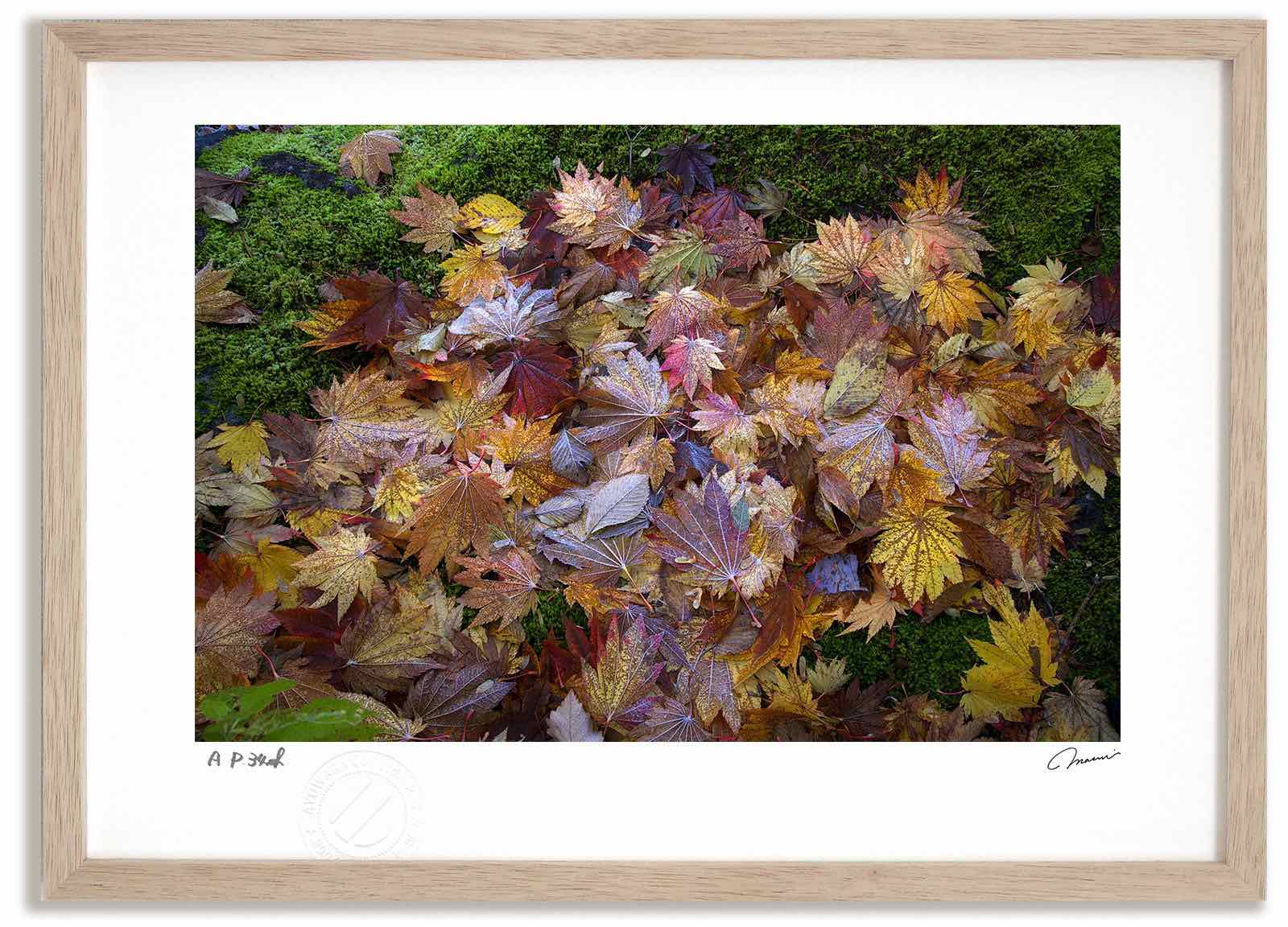 アートフォト 絵画 紅葉7 高橋真澄/インテリア 額入り 額装込 風景画 油絵 ポスター アート アートパネル リビング 玄関 プレゼント モダン アートフレーム 飾る おしゃれ 壁掛け 絵|絵画・壁飾り 風景専門店あゆわら