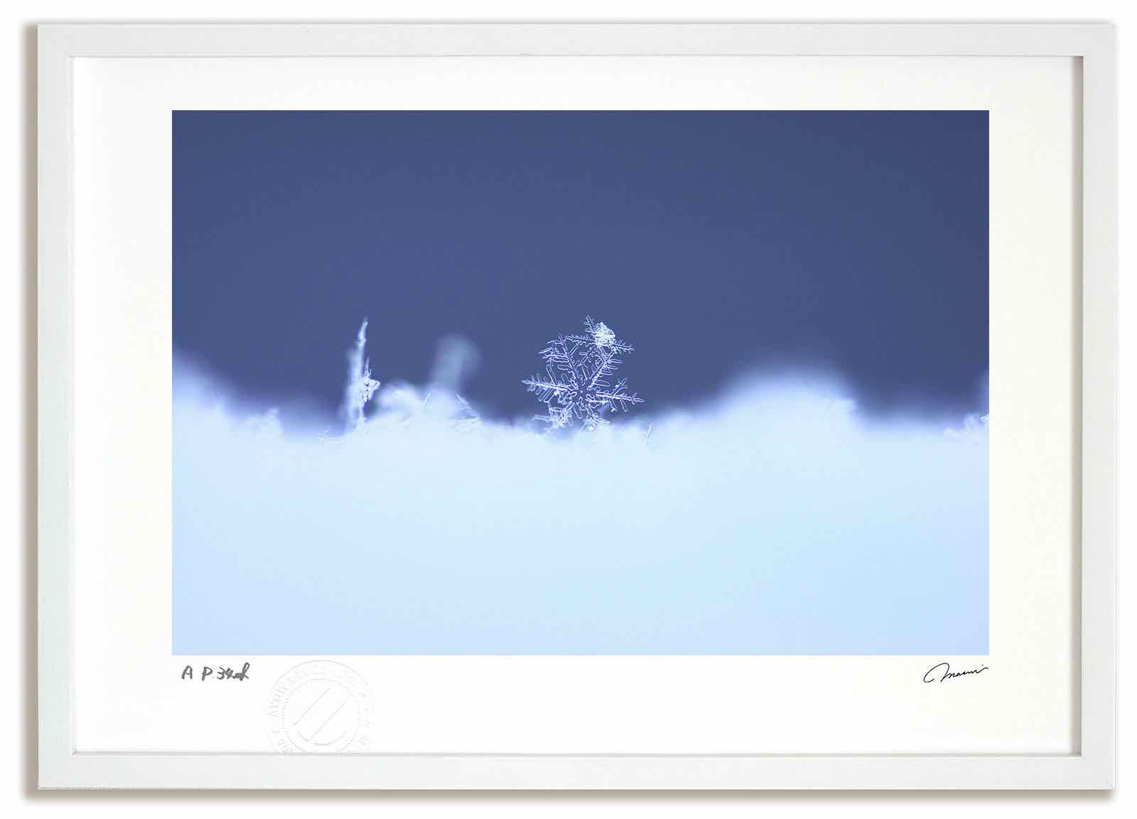 絵画　雪ふる19 原画　A4サイズ 額縁無し 雪布和紙＋INCH FRAME WORKS 額装「藍」【受注販売】 | タクミ