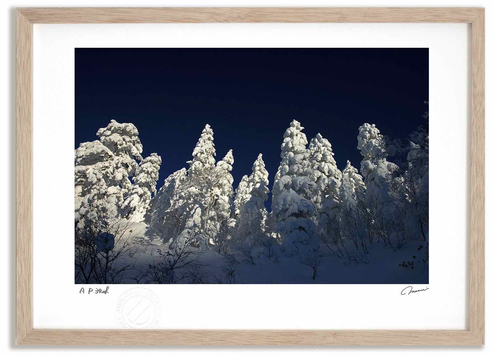 アートフォト 絵画 十勝岳温泉の着雪のモンスター 高橋真澄/インテリア 額入り 額装込 風景画 油絵 ポスター アート アートパネル リビング 玄関 プレゼント モダン アートフレーム 飾る おしゃれ 壁掛け 絵