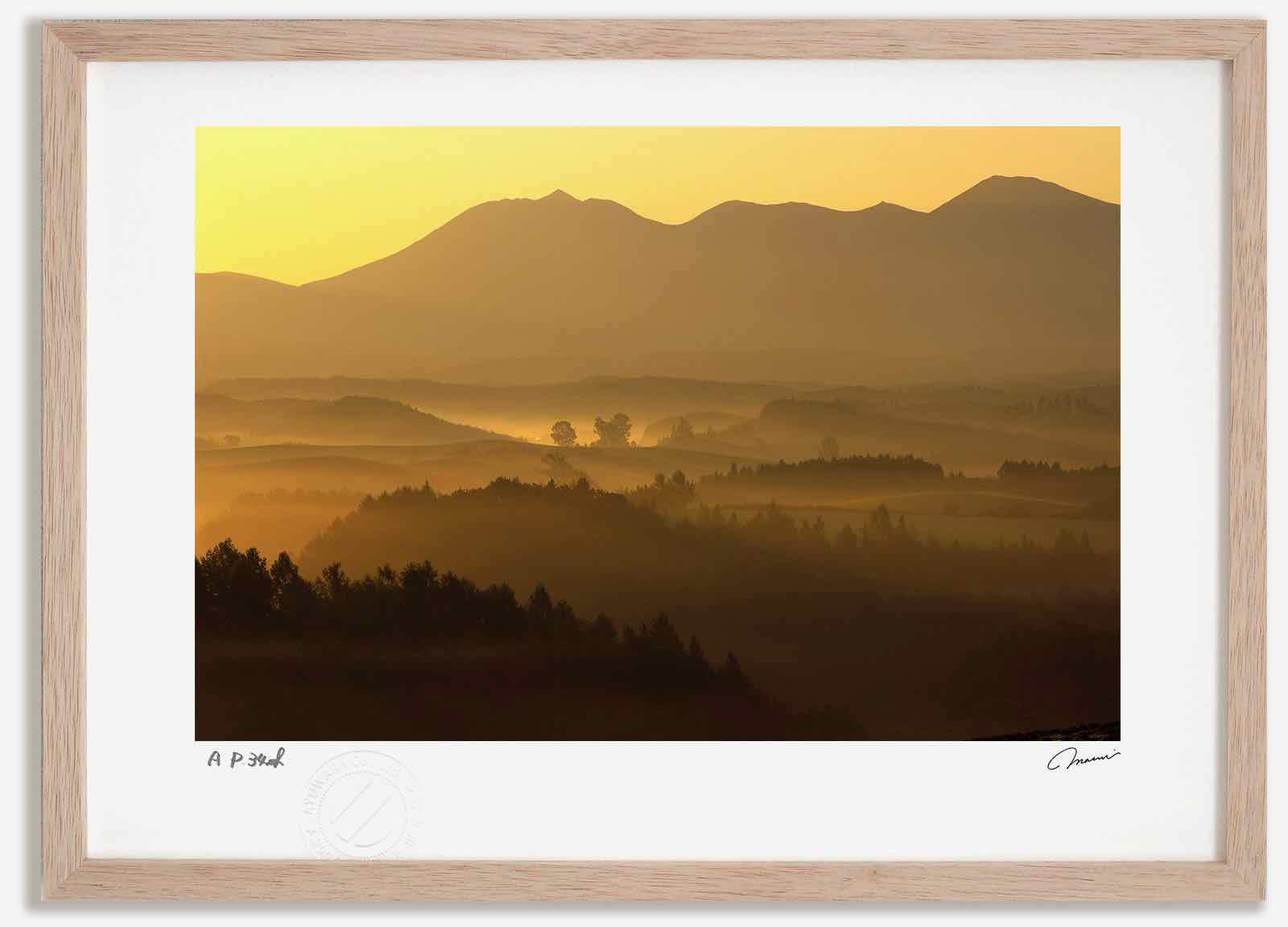 アートフォト 絵画 朝の丘1 高橋真澄/インテリア 額入り 額装込 風景画 油絵 ポスター アート アートパネル リビング 玄関 プレゼント モダン アートフレーム 飾る おしゃれ 壁掛け 絵