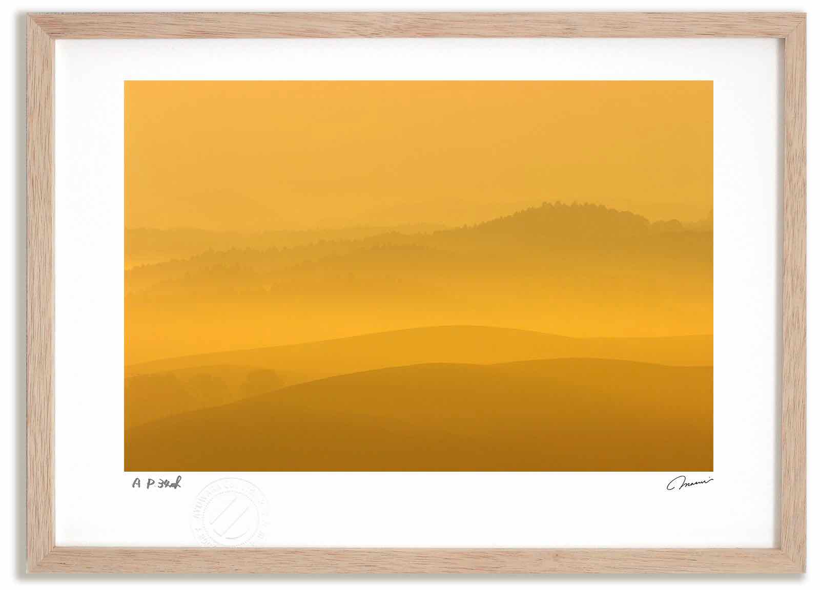 アートフォト 絵画 朝日で黄金色の丘2 高橋真澄/インテリア 額入り 額装込 風景画 油絵 ポスター アート アートパネル リビング 玄関 プレゼント モダン アートフレーム 飾る おしゃれ 壁掛け 絵｜絵画・壁飾り　風景専門店あゆわら