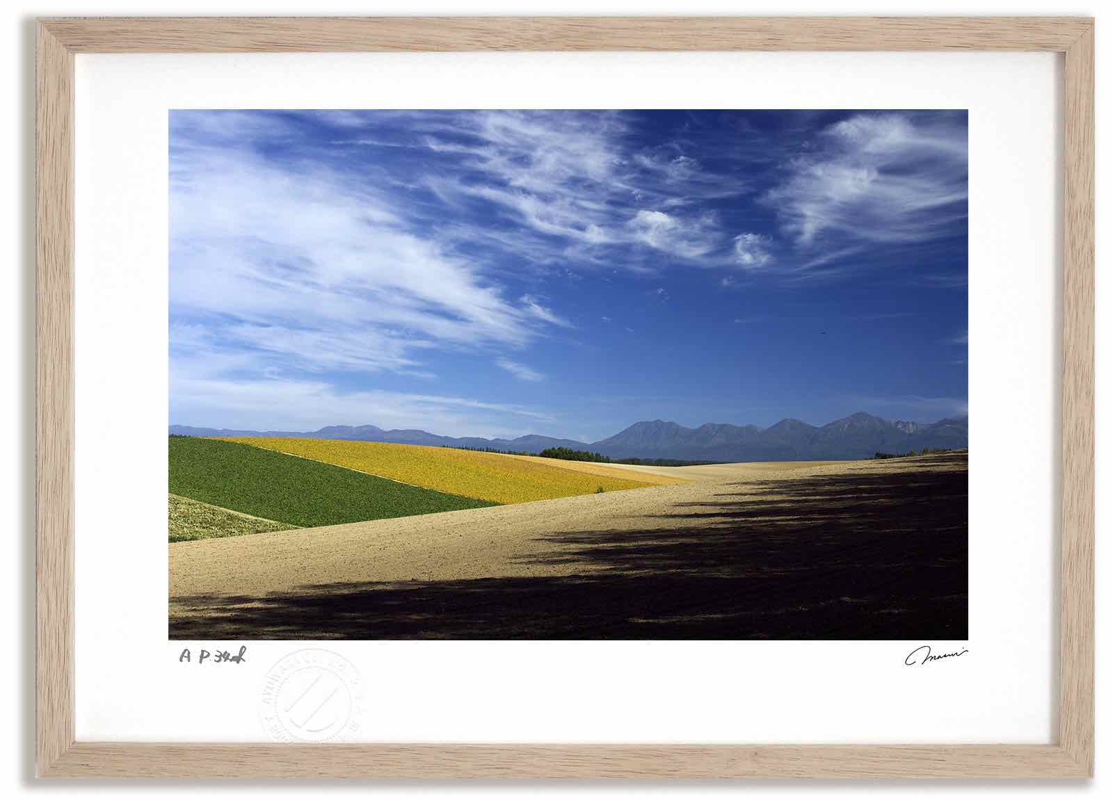 アートフォト 絵画 秋の景色1 高橋真澄/インテリア 額入り 額装込 風景画 油絵 ポスター アート アートパネル リビング 玄関 プレゼント モダン アートフレーム 飾る おしゃれ 壁掛け 絵|絵画・壁飾り 風景専門店あゆわら