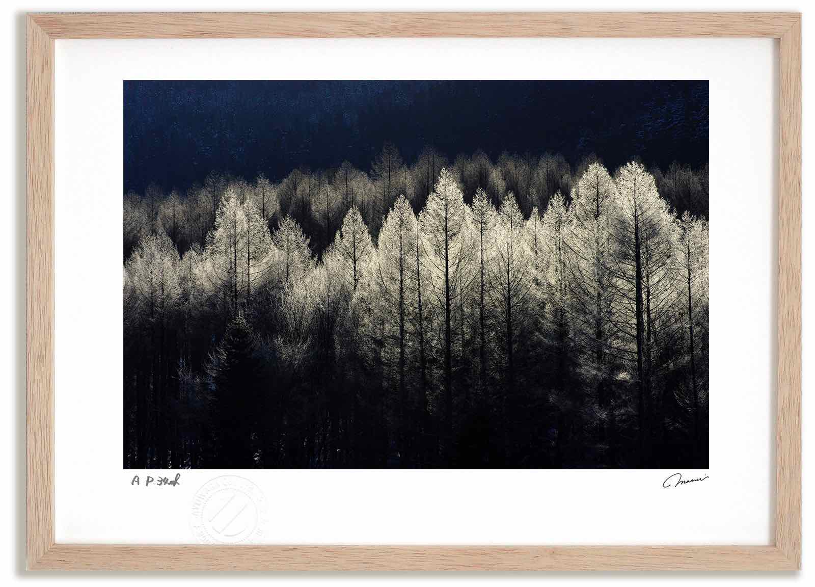 アートフォト 絵画 霧氷の森4/占冠村 高橋真澄/インテリア 額入り 額装込 風景画 油絵 ポスター アート アートパネル リビング 玄関 プレゼント モダン アートフレーム 飾る おしゃれ 壁掛け 絵|絵画・壁飾り 風景専門店あゆわら