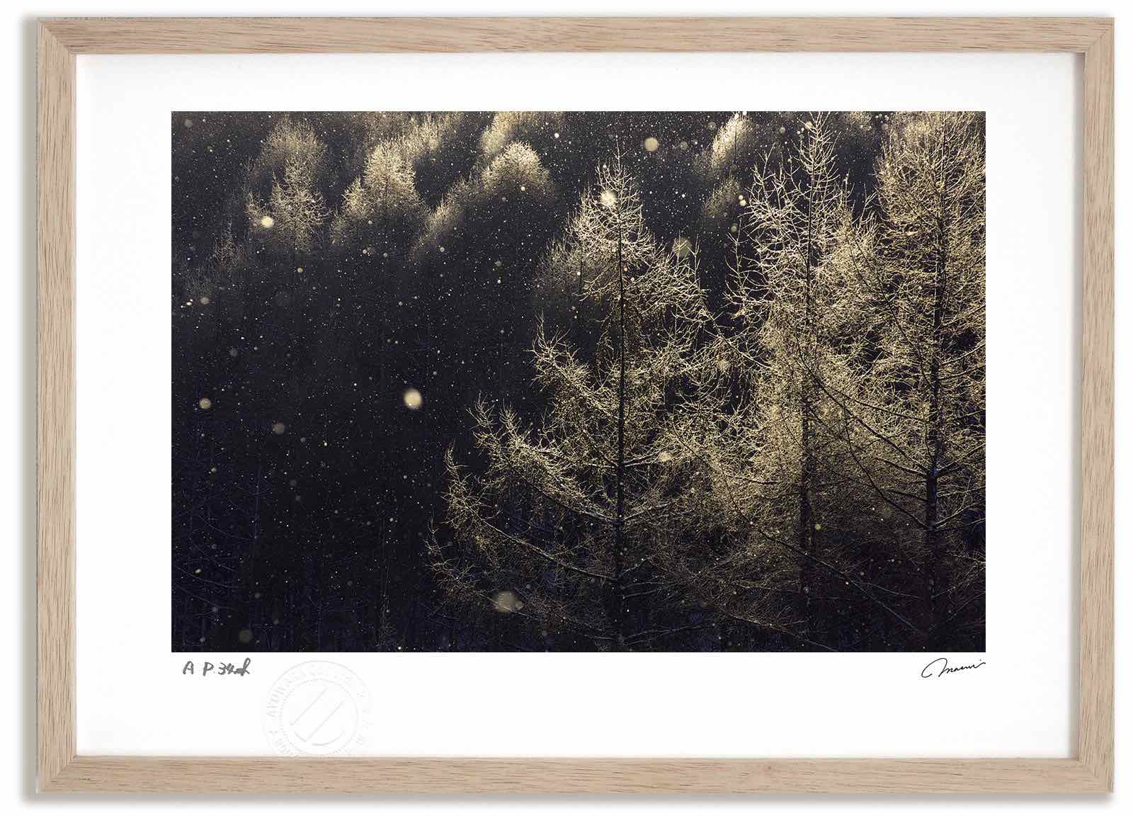 アートフォト 絵画 ベスト ダイヤモンドダスト1 高橋真澄/インテリア 額入り 額装込 風景画 油絵 ポスター アート アートパネル リビング 玄関 プレゼント モダン アートフレーム 飾る おしゃれ 壁掛け 絵|絵画・壁飾り 風景専門店あゆわら