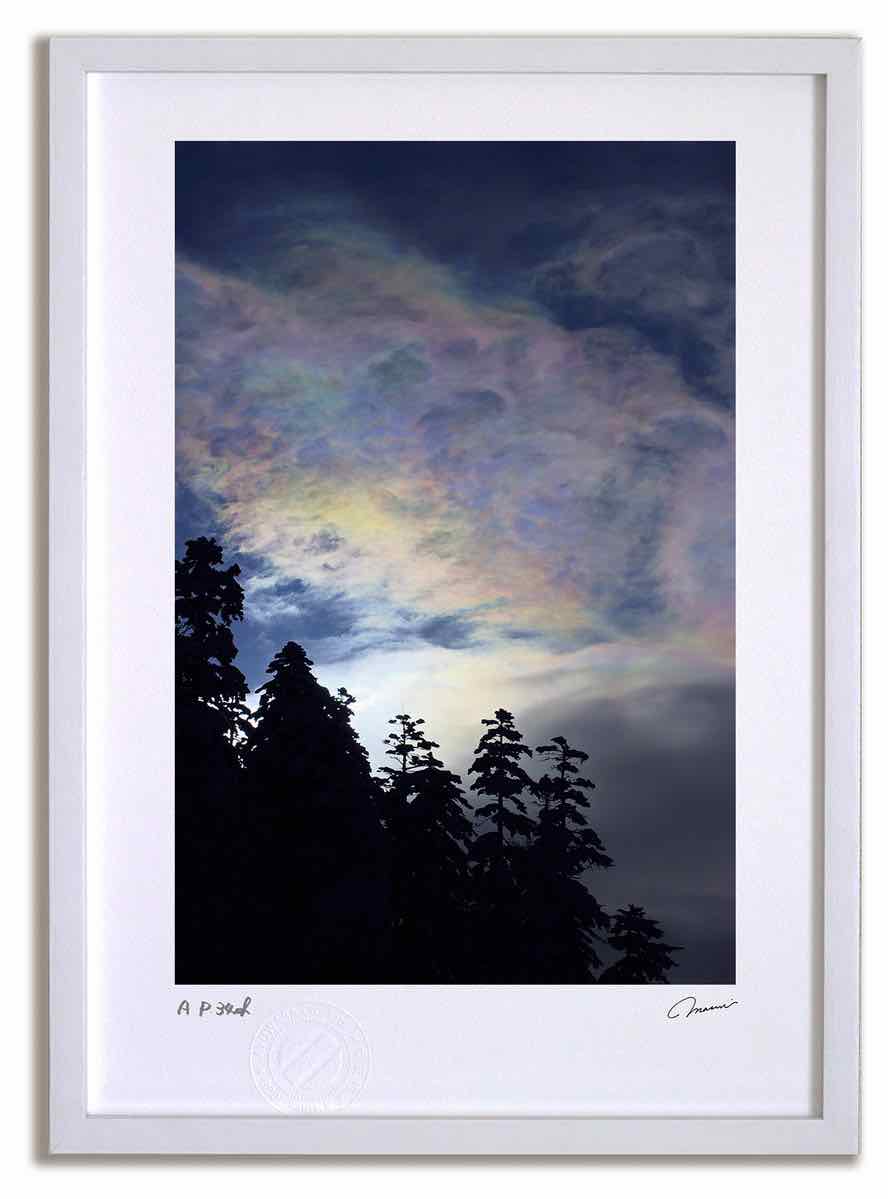 アートフォト 絵画 残照の白樺と道 高橋真澄/インテリア 額入り 額装込 風景画 油絵 ポスター アート アートパネル リビング 玄関 プレゼント モダン アートフレーム 飾る Mサイズ おしゃれ 