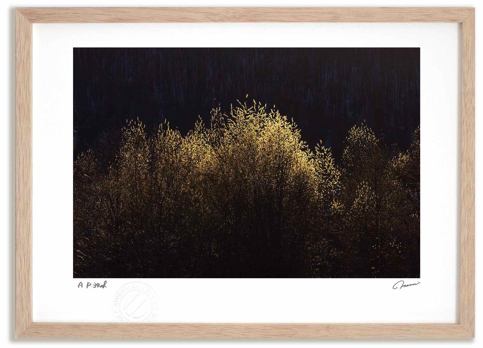 アートフォト 絵画 夕日のねこやなぎ1 高橋真澄/インテリア 額入り 額装込 風景画 油絵 ポスター アート アートパネル リビング 玄関 プレゼント モダン アートフレーム 飾る おしゃれ 壁掛け 絵｜絵画・壁飾り　風景専門店あゆわら