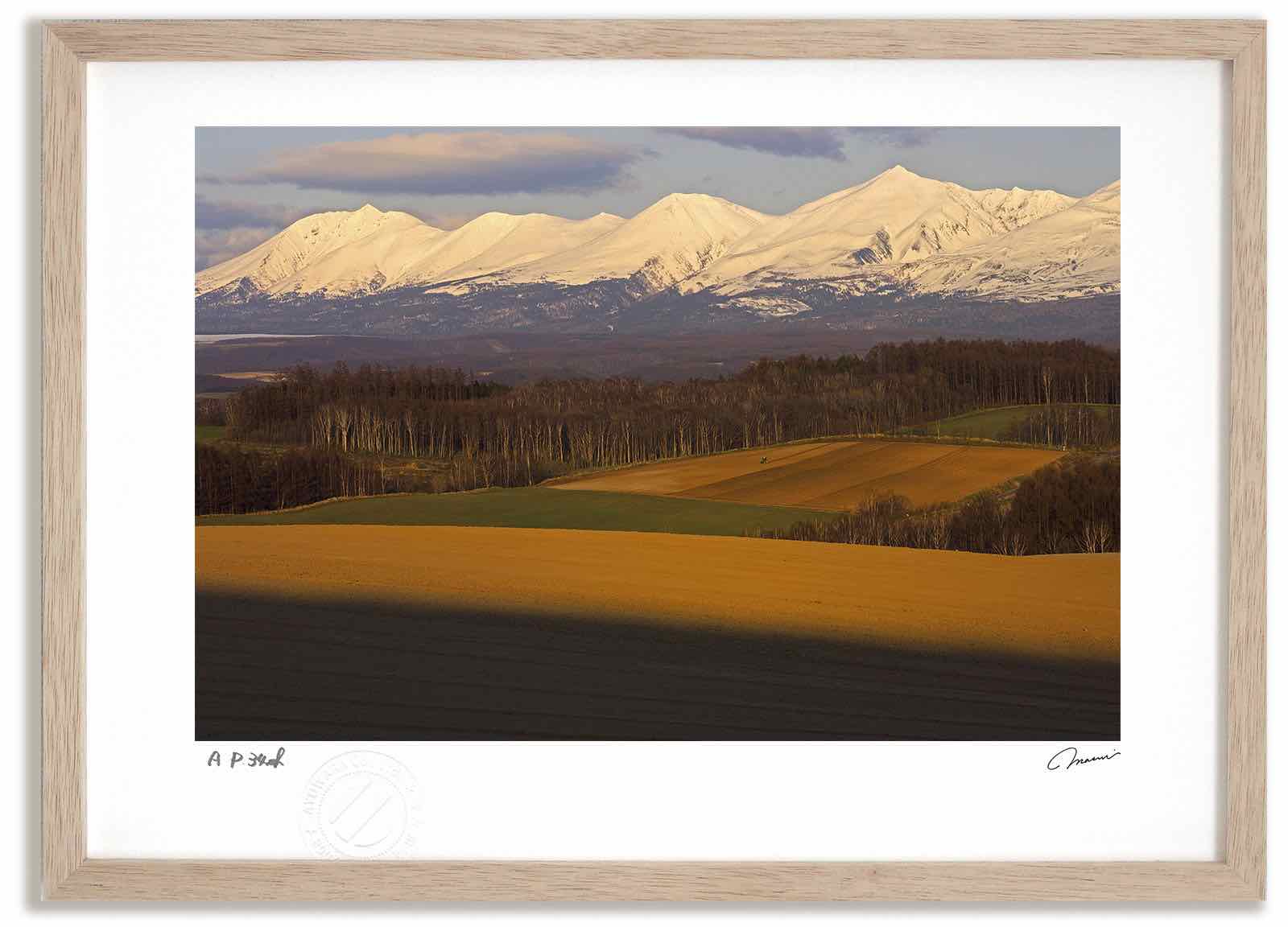 アートフォト 絵画 夕方の丘 高橋真澄/インテリア 額入り 額装込 風景画 油絵 ポスター アート アートパネル リビング 玄関 プレゼント モダン アートフレーム 飾る おしゃれ 壁掛け 絵｜絵画・壁飾り　風景専門店あゆわら