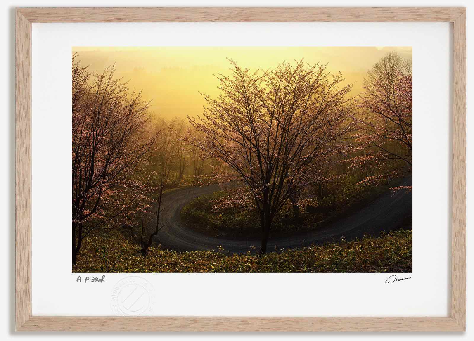 アートフォト 絵画 日の出の桜2 高橋真澄/インテリア 額入り 額装込 風景画 油絵 ポスター アート アートパネル リビング 玄関 プレゼント モダン アートフレーム 飾る おしゃれ 壁掛け 絵|絵画・壁飾り 風景専門店あゆわら
