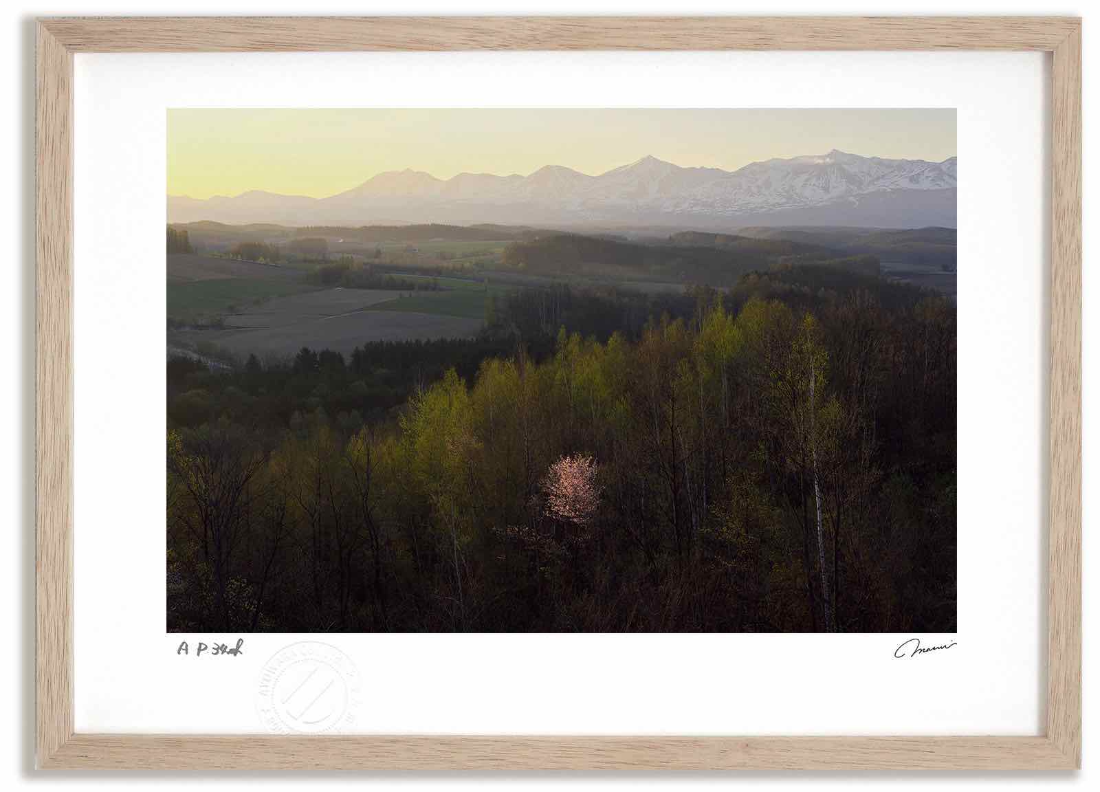 アートフォト 絵画 日の出と桜 高橋真澄/インテリア 額入り 額装込 風景画 油絵 ポスター アート アートパネル リビング 玄関 プレゼント モダン アートフレーム 飾る おしゃれ 壁掛け 絵｜絵画・壁飾り　風景専門店あゆわら