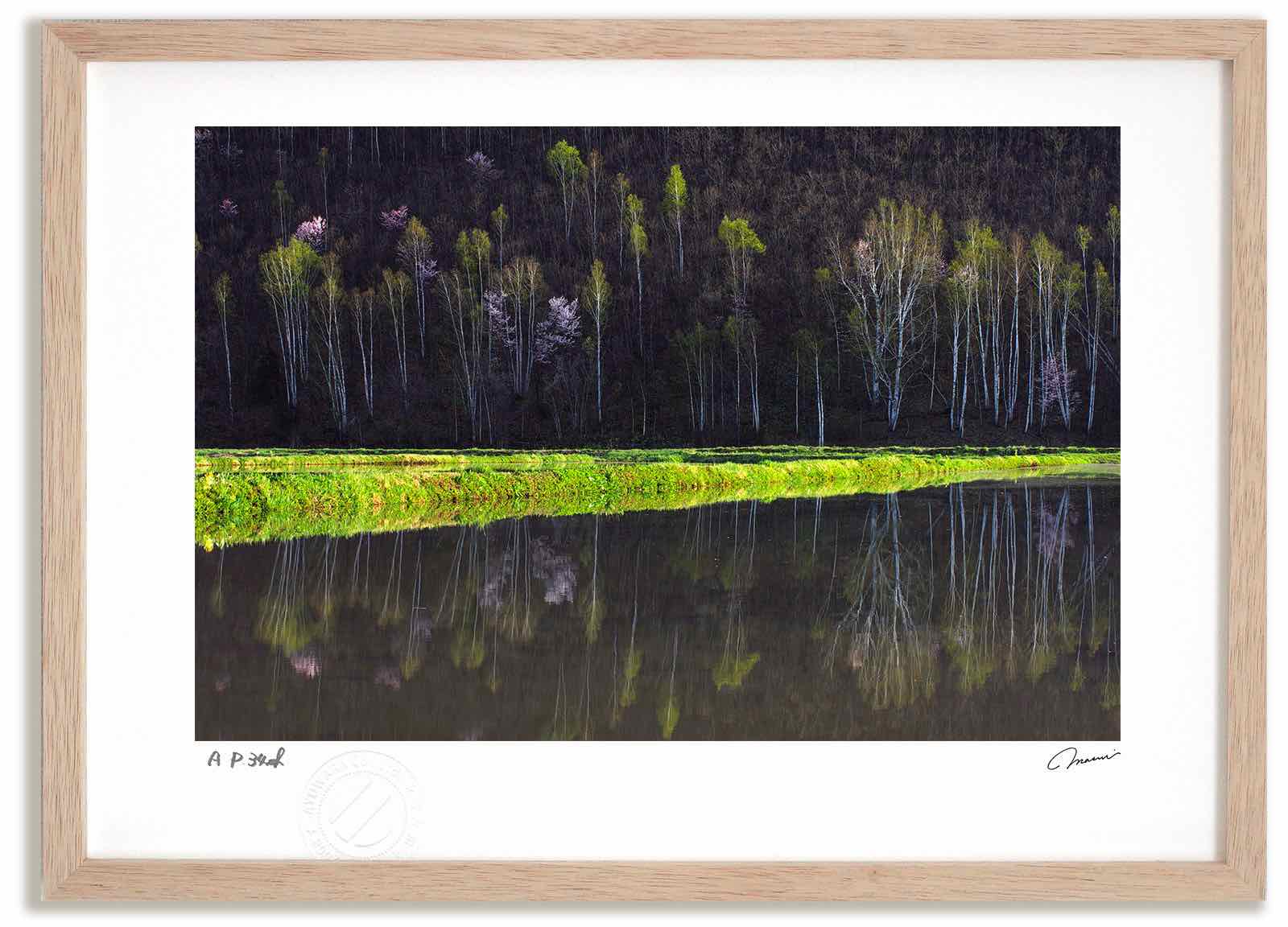 アートフォト 絵画 田んぼに映る桜 高橋真澄/インテリア 額入り 額装込 風景画 油絵 ポスター アート アートパネル リビング 玄関 プレゼント モダン アートフレーム 飾る おしゃれ 壁掛け 絵|絵画・壁飾り 風景専門店あゆわら