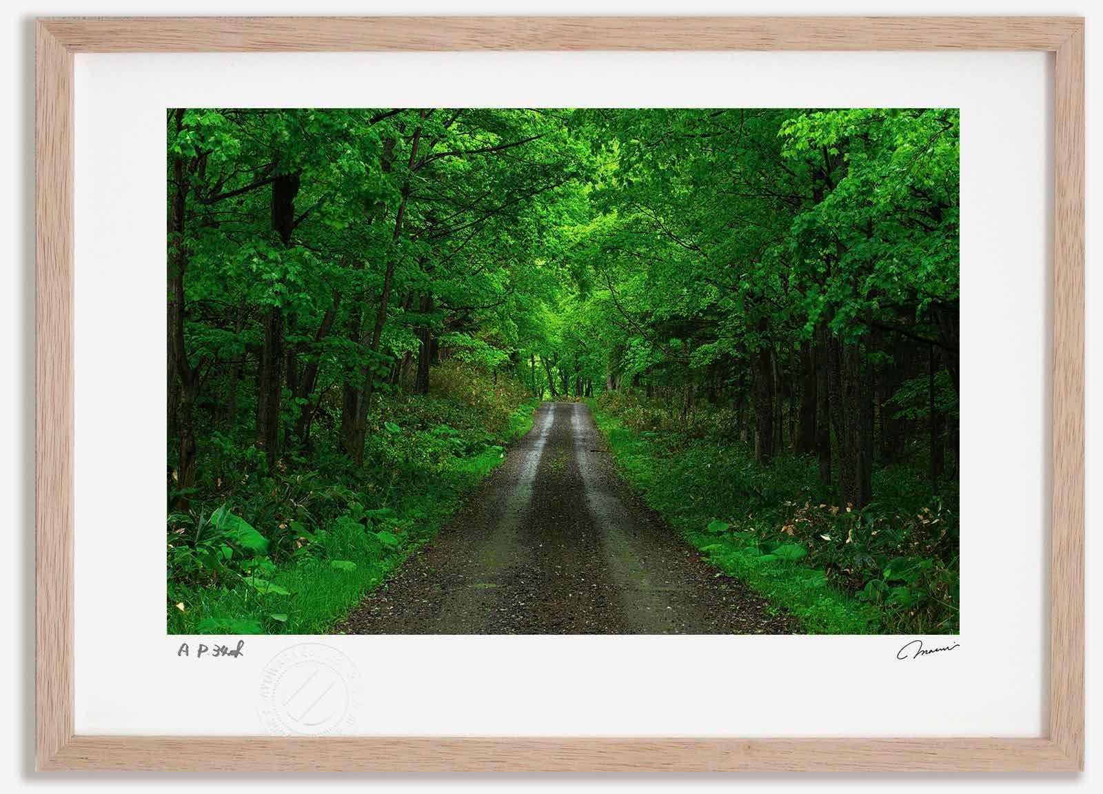 額装写真 アートパネル アートフォト 自然風景 インテリアフォト 額装写真 アートパネル アートフォト 自然風景 インテリアフォト