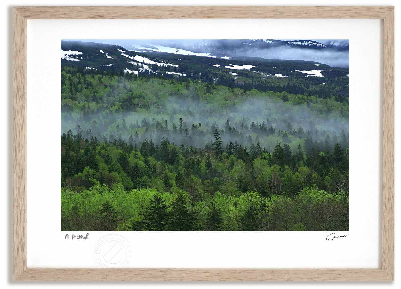 楽天市場】山 絵画 乗鞍岳 風景画 油絵 晩秋 高瀬三郎 「新雪の乗鞍岳