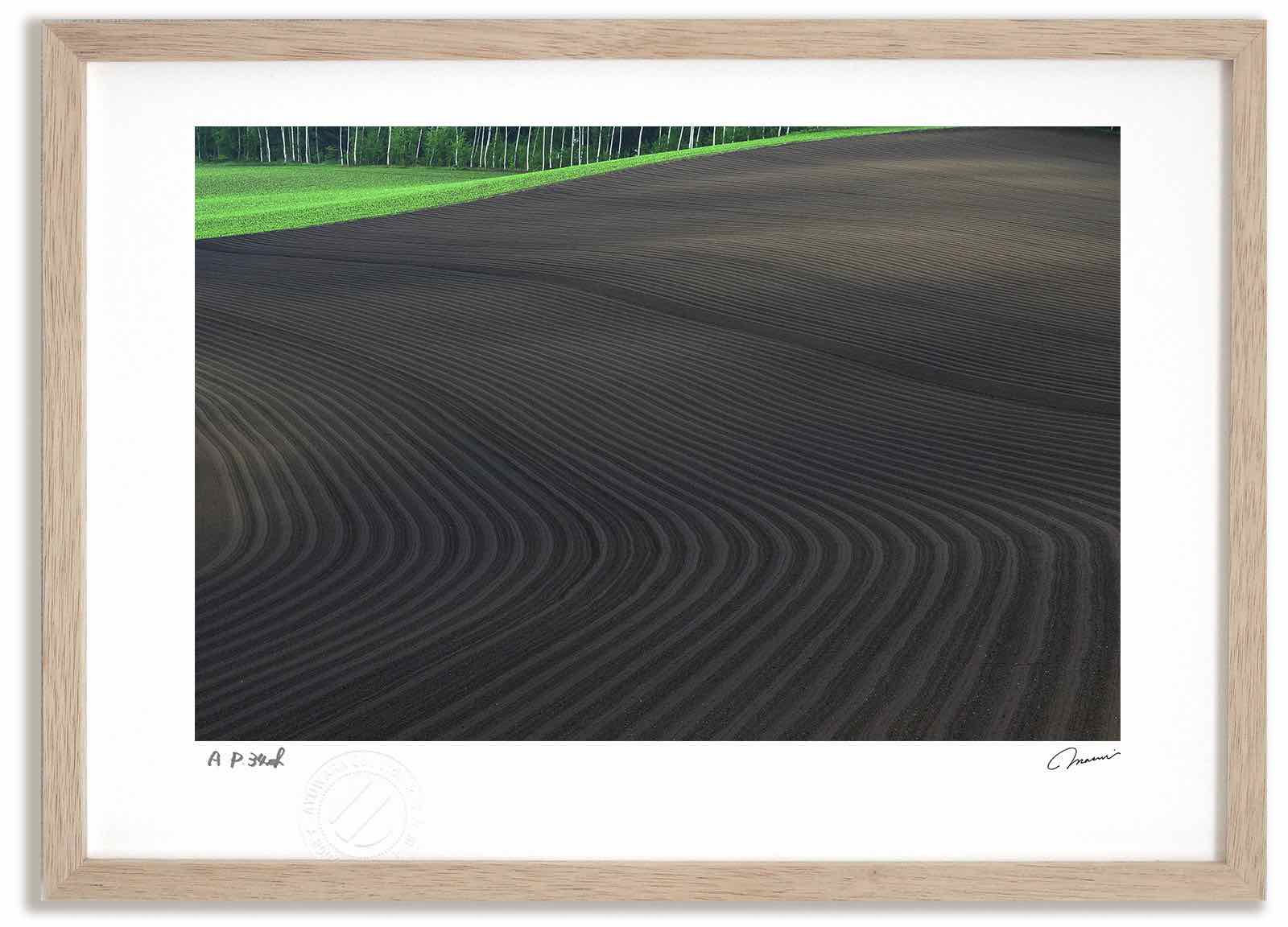 アートフォト 絵画 畝の文様1 高橋真澄/インテリア 額入り 額装込 風景画 油絵 ポスター アート アートパネル リビング 玄関 プレゼント モダン アートフレーム 飾る おしゃれ 壁掛け 絵