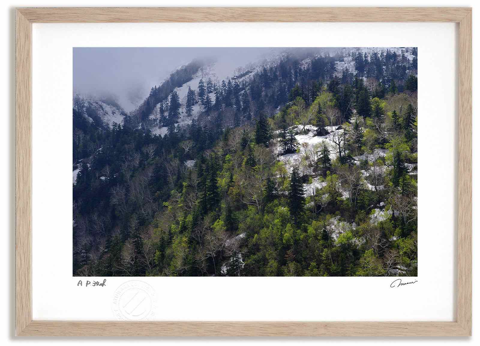 アートフォト 絵画 十勝岳温泉の遅い春 高橋真澄/インテリア 額入り 額装込 風景画 油絵 ポスター アート アートパネル リビング 玄関 プレゼント モダン アートフレーム 飾る おしゃれ 壁掛け 絵｜絵画・壁飾り　風景専門店あゆわら